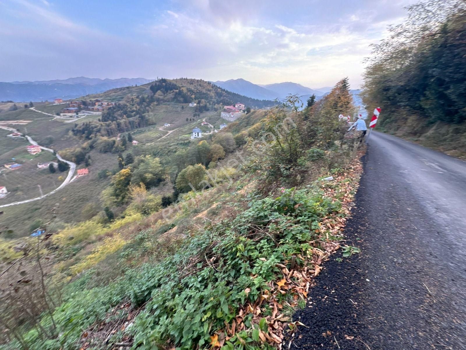 Trabzon'da Satılık Arazi - Görsel 10