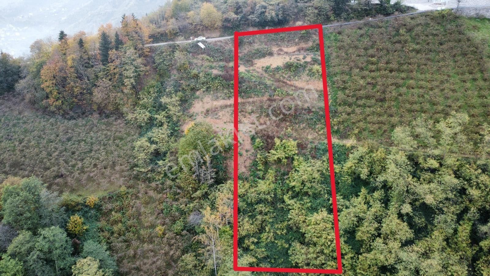Trabzon'da Satılık Arazi - Görsel 3
