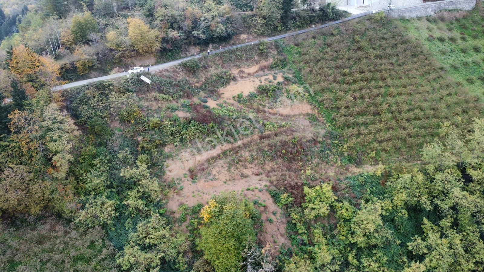 Trabzon'da Satılık Arazi