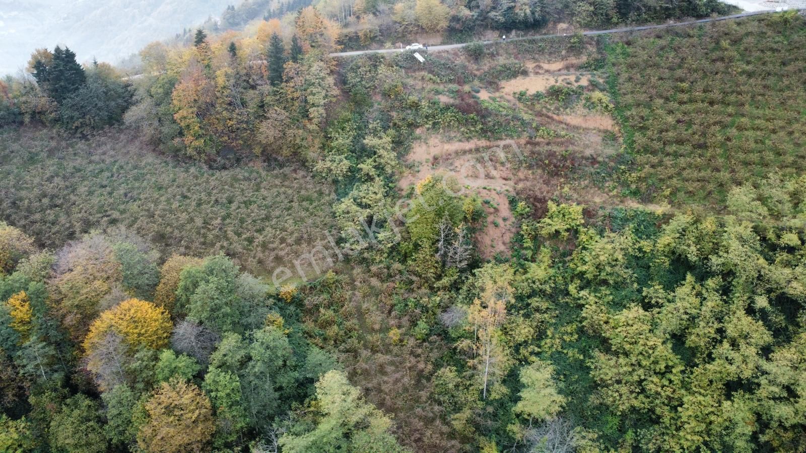 Trabzon'da Satılık Arazi - Görsel 28