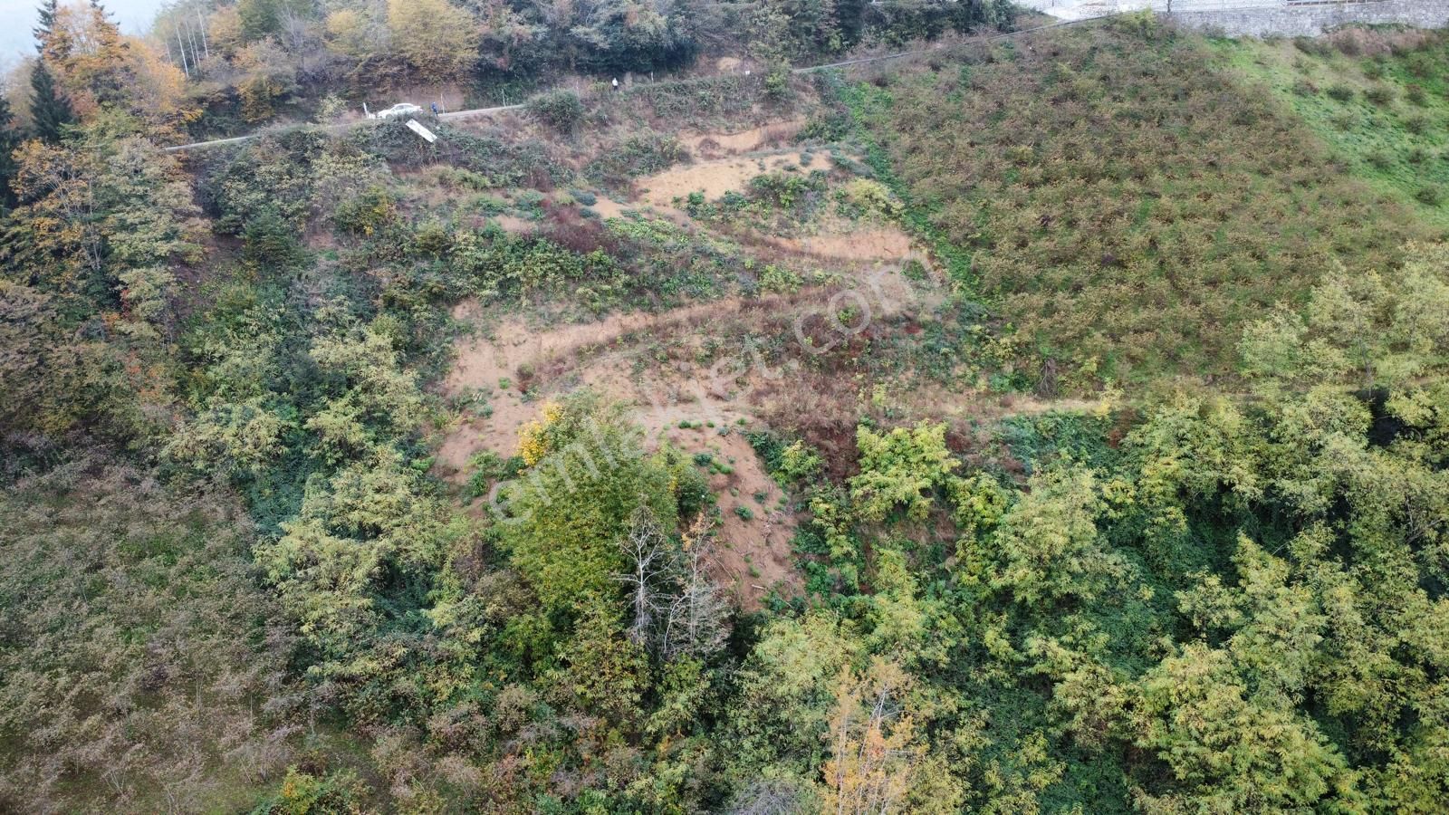 Trabzon'da Satılık Arazi - Görsel 2