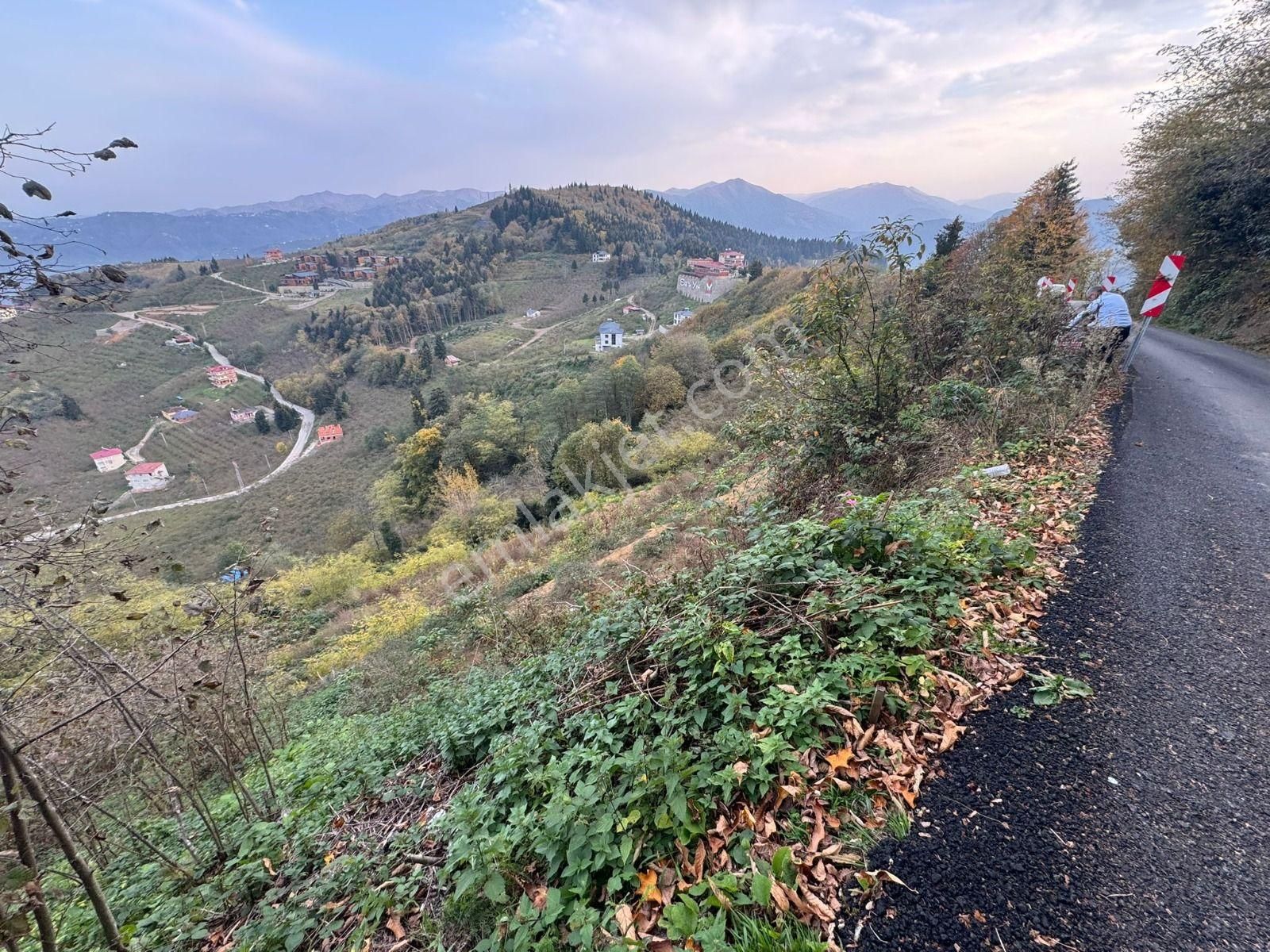 Trabzon'da Satılık Arazi - Görsel 7