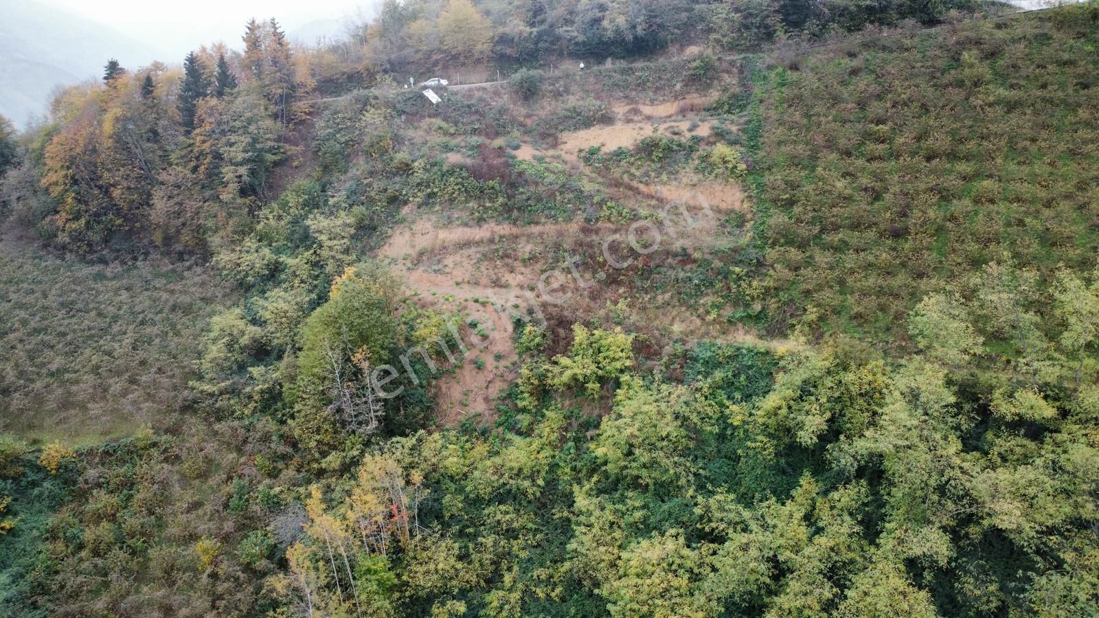 Trabzon'da Satılık Arazi - Görsel 21
