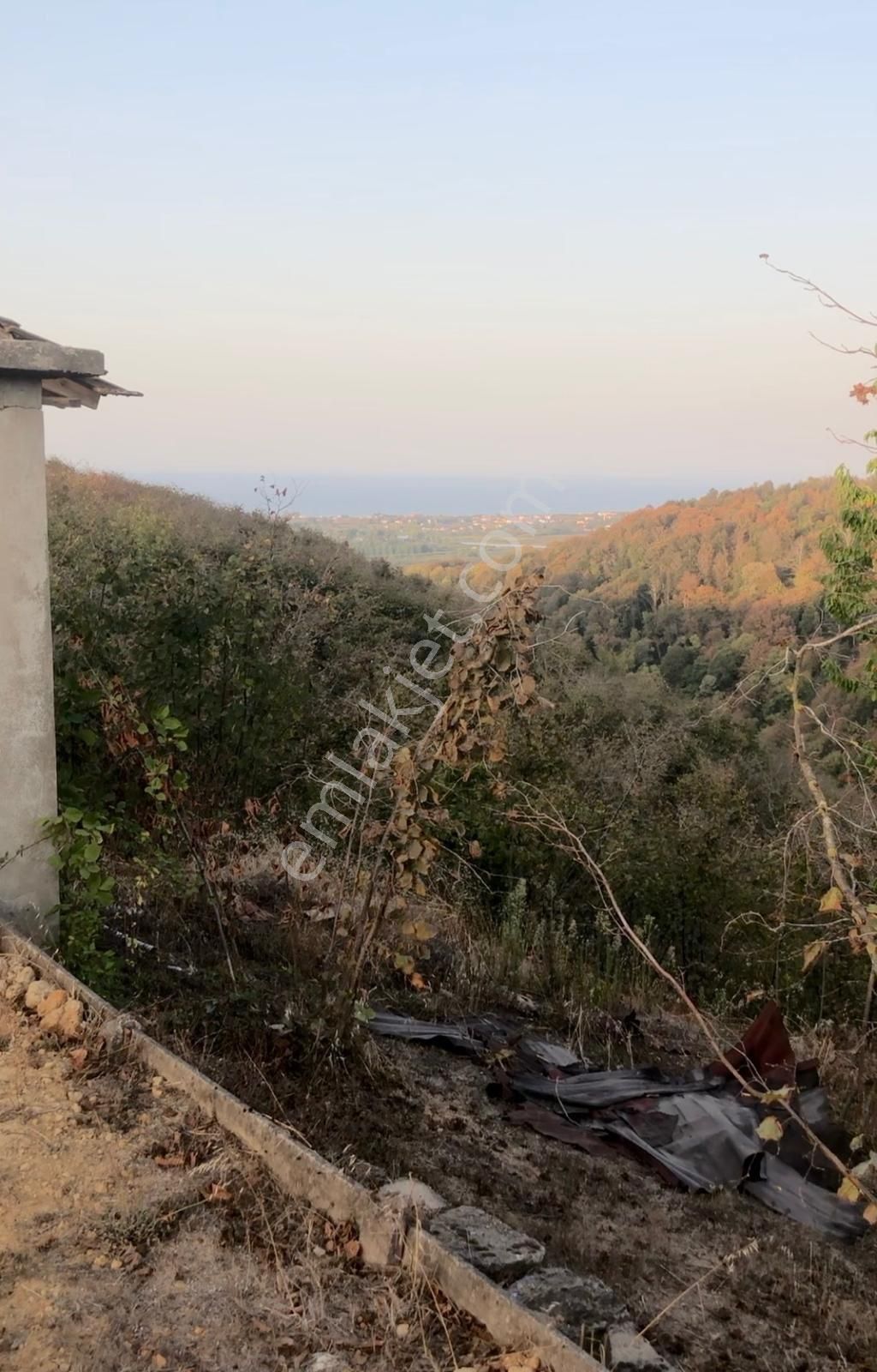 Karasu Yukarıaziziye’de Bağ Evi Bulunan Satılık Fındık Bahçesi - Görsel 3