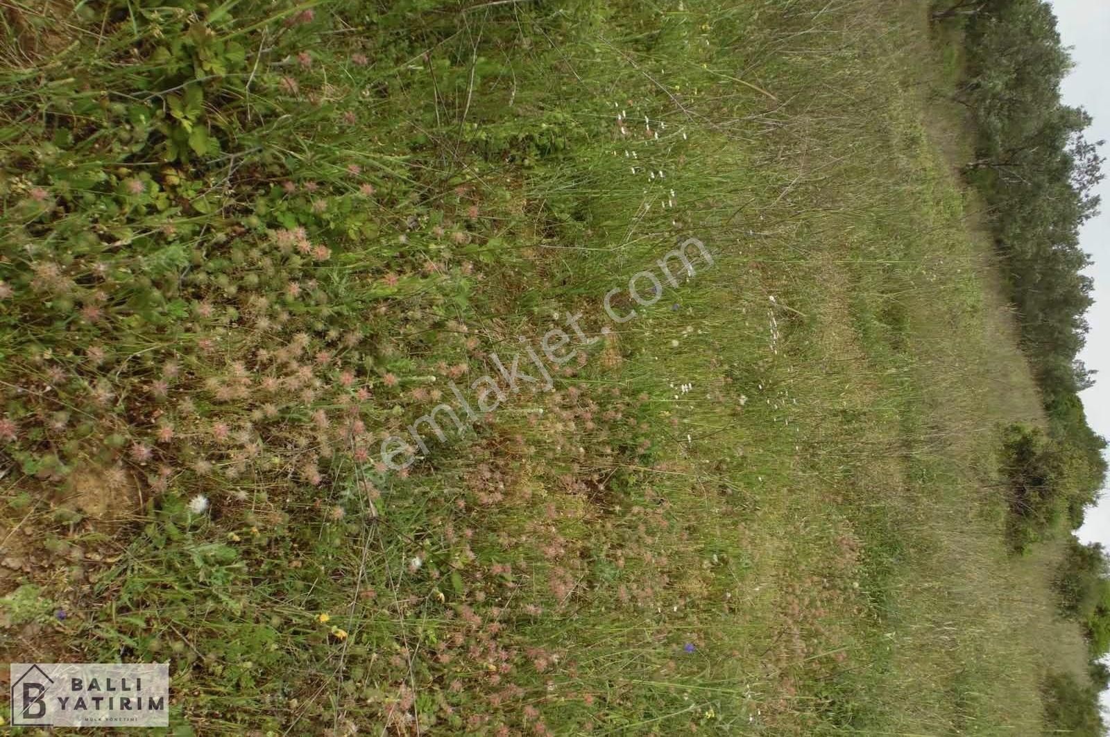Ballı Yatırım'dan Mirzaobada Tek Tapu 4900m2 Fırsat Tarla - Görsel 5