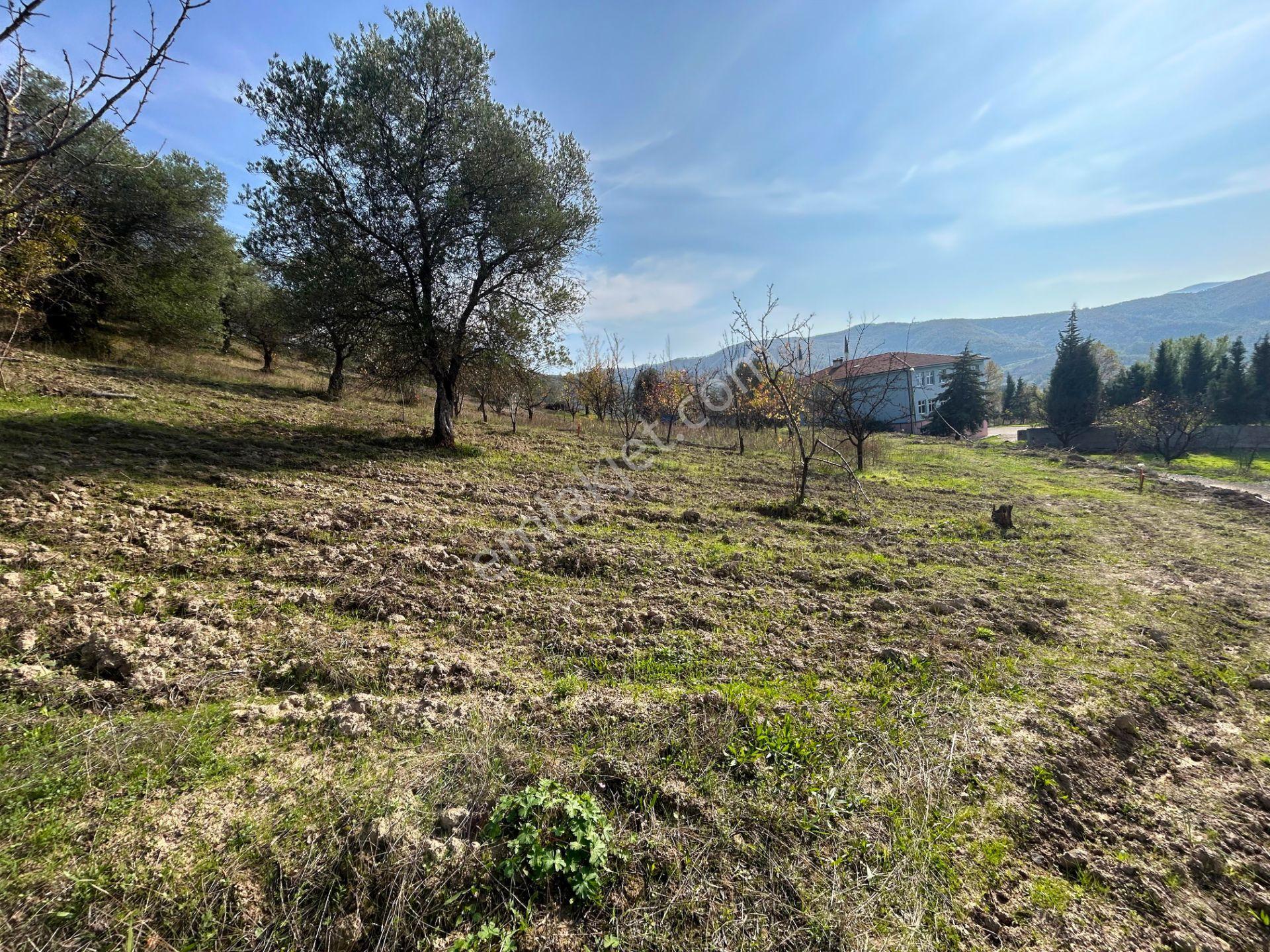 Uzmanlar'dan Karamürsel Akçat 442 M² Konut İmarlı Satılık Arsa - Görsel 7