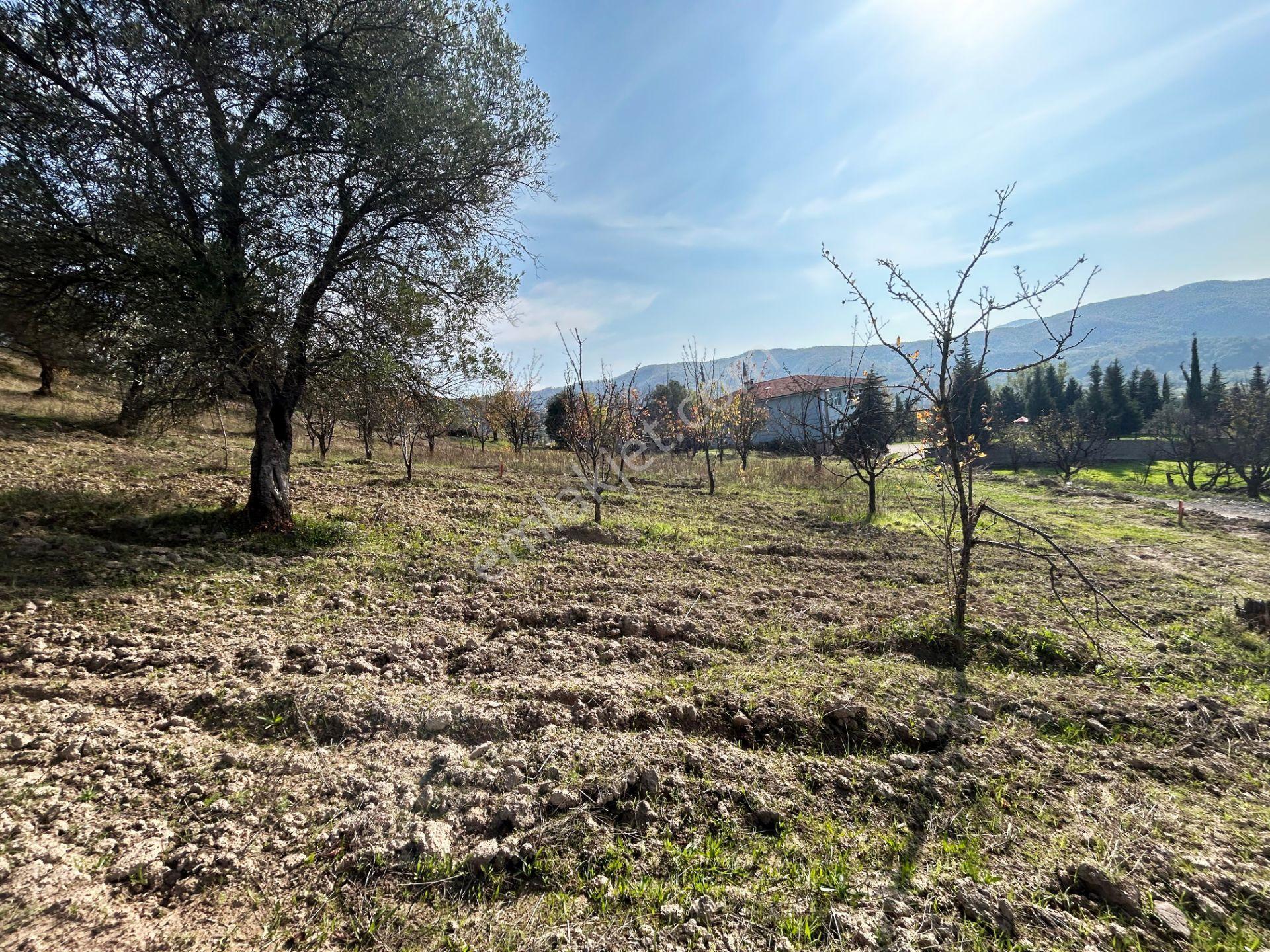Uzmanlar'dan Karamürsel Akçat 442 M² Konut İmarlı Satılık Arsa - Görsel 10