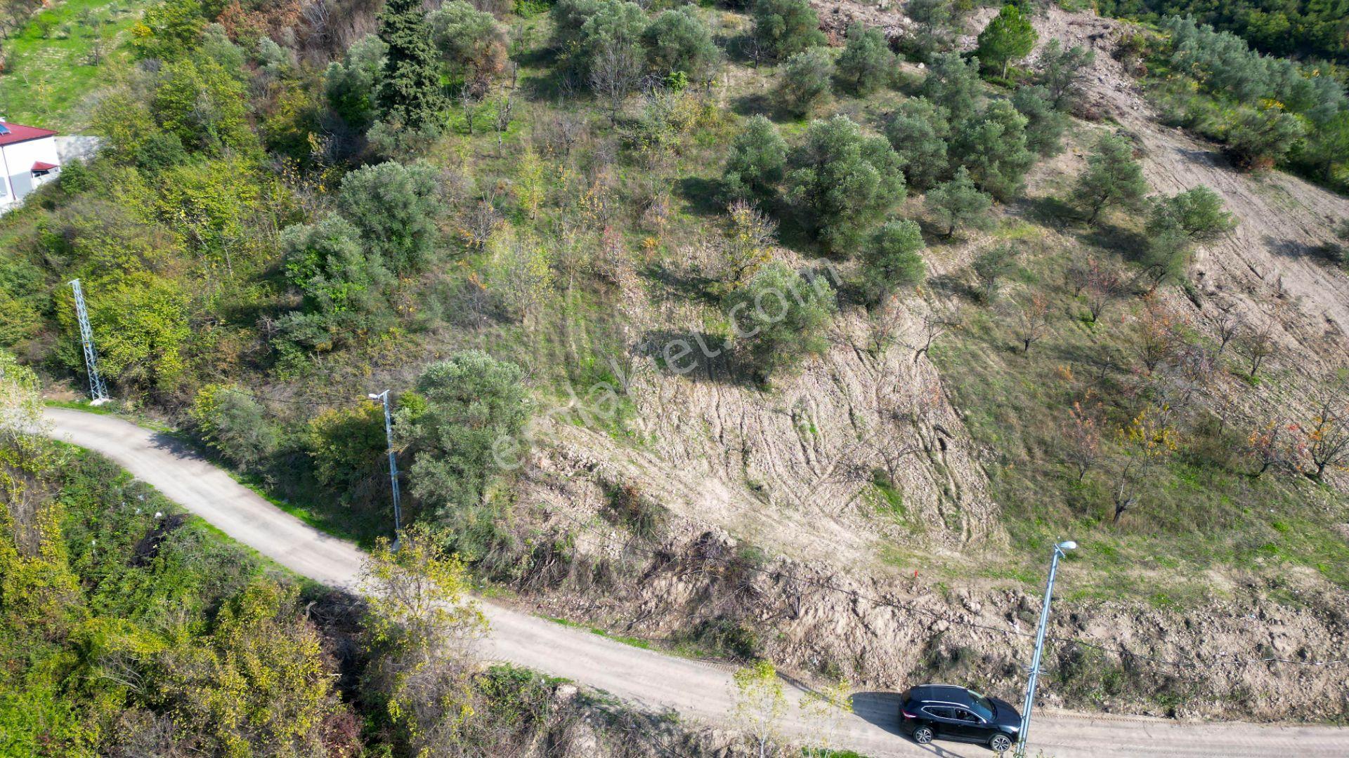 Uzmanlar'dan Karamürsel Akçat 442 M² Konut İmarlı Satılık Arsa - Görsel 2