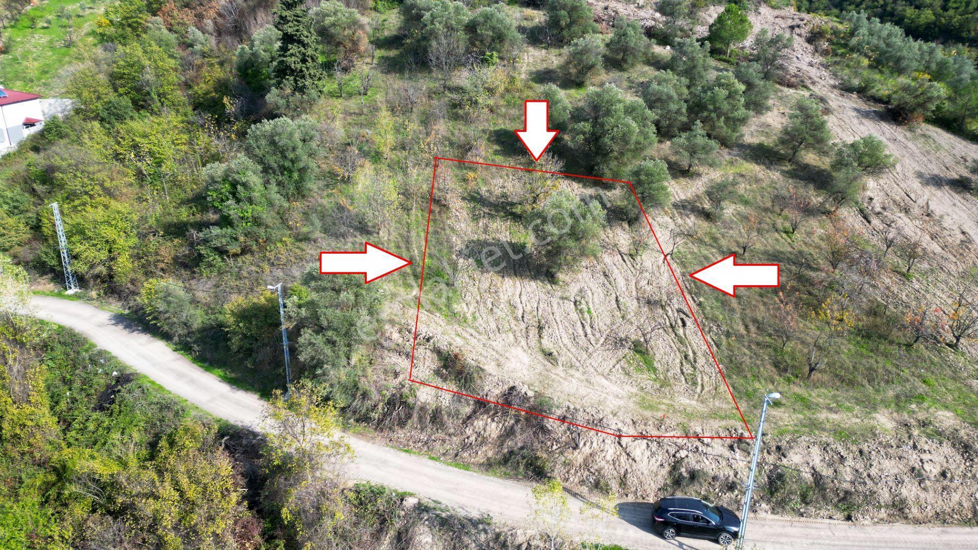 Uzmanlar'dan Karamürsel Akçat 442 M² Konut İmarlı Satılık Arsa