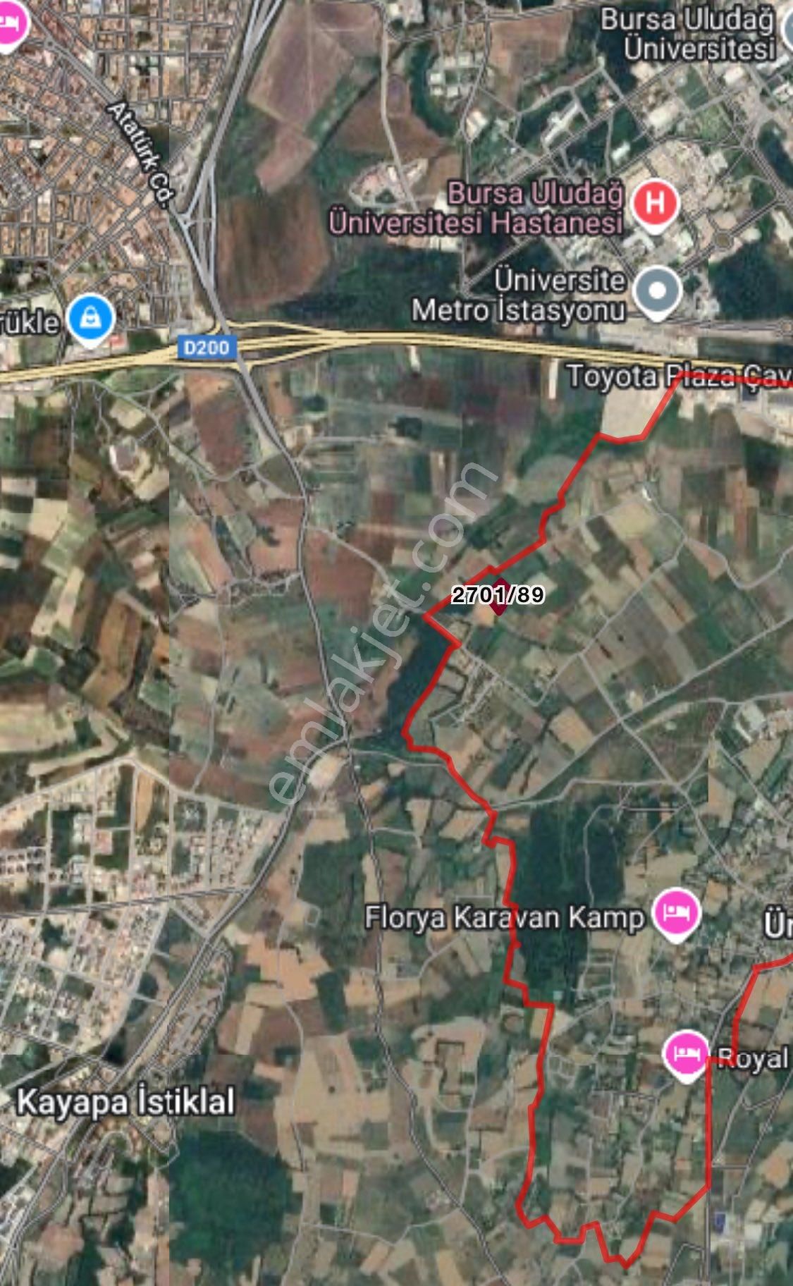 Mera Bölgesine Sınır Ürünlüde Satılık Tarla Hissesi - Görsel 4