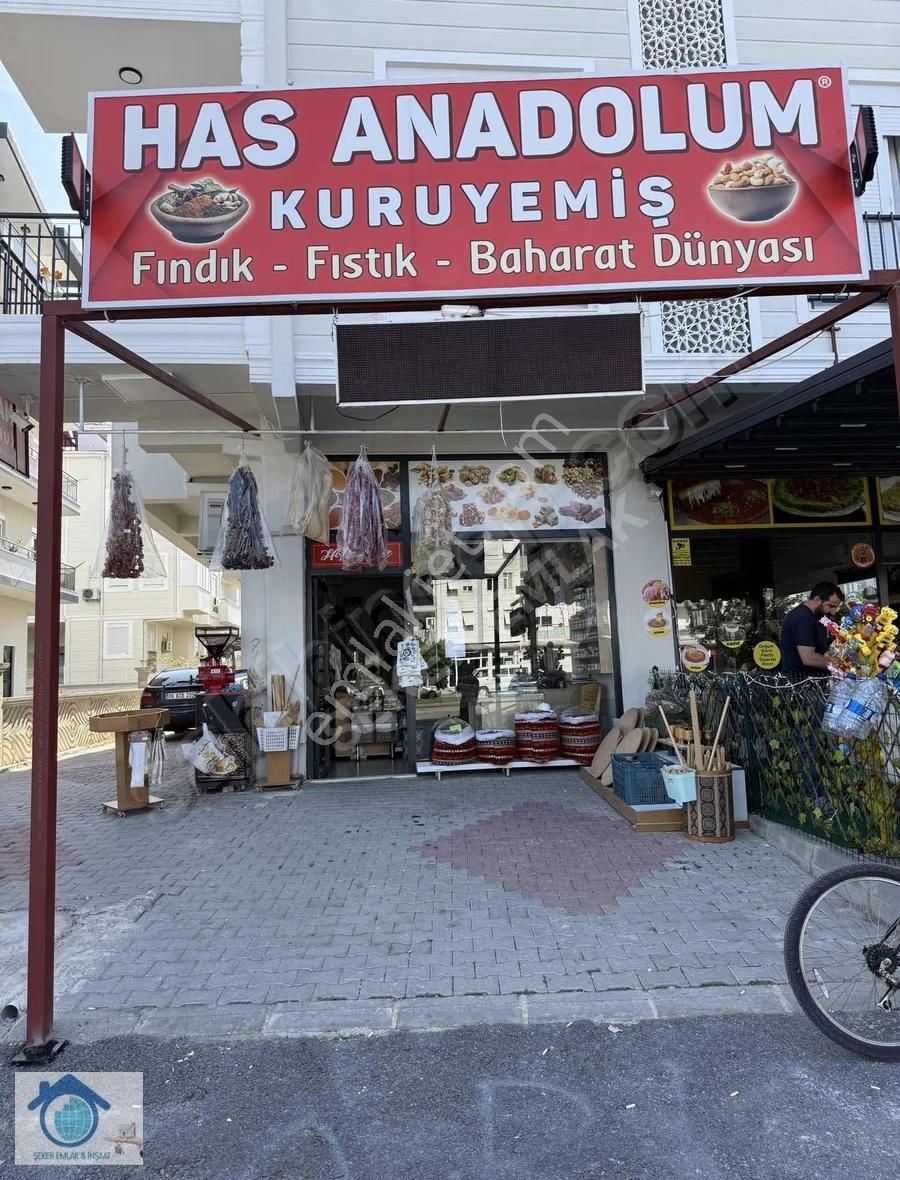 Manavgat Sarılarda Devren Satılık Faal Kuruyemiş Dükkanı - Görsel 13