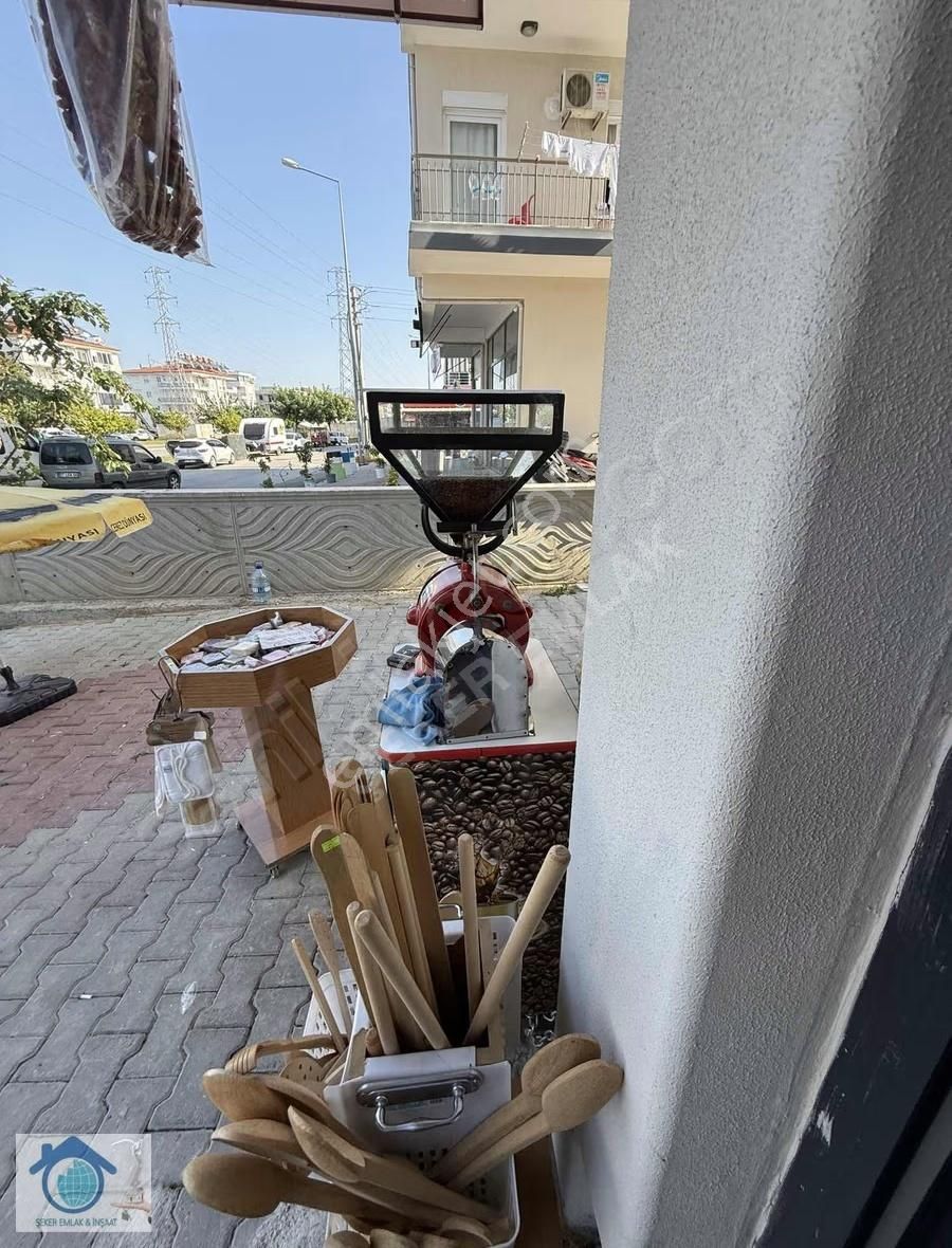 Manavgat Sarılarda Devren Satılık Faal Kuruyemiş Dükkanı - Görsel 2