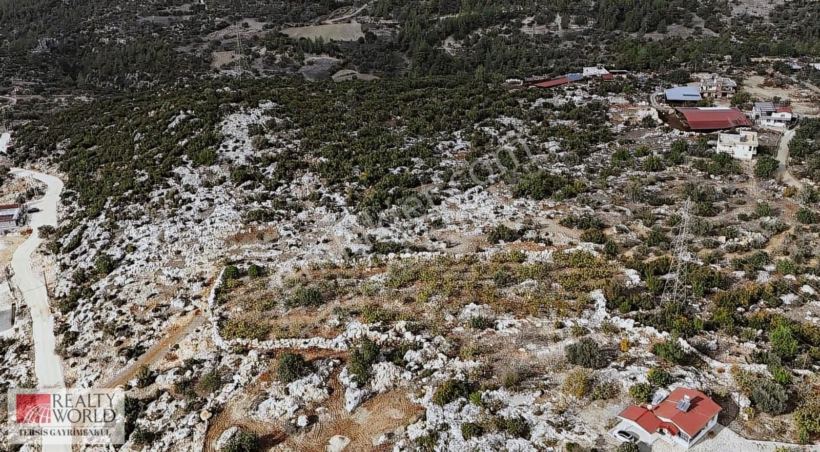 Rw Tersis'den Tarsus Hacıhamzalıda Satılık İncir Bahçesi