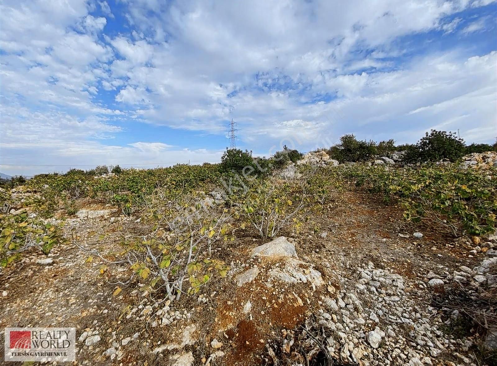 Rw Tersis'den Tarsus Hacıhamzalıda Satılık İncir Bahçesi - Görsel 10