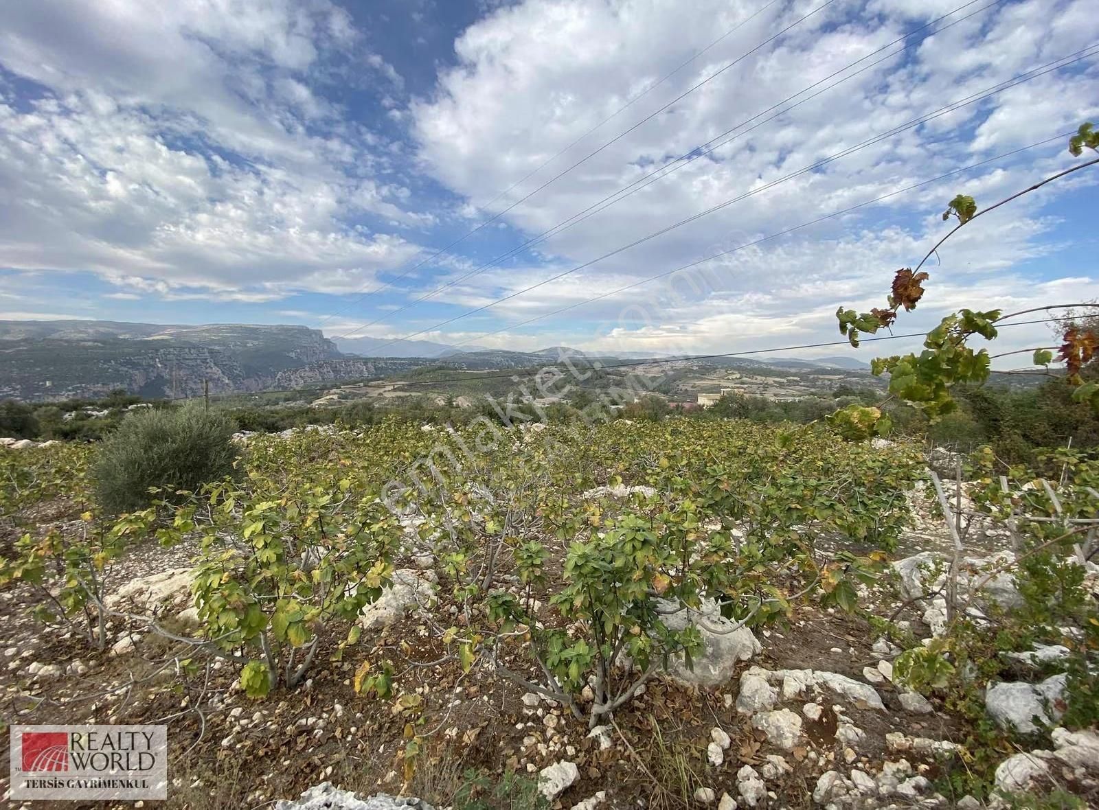 Rw Tersis'den Tarsus Hacıhamzalıda Satılık İncir Bahçesi - Görsel 15