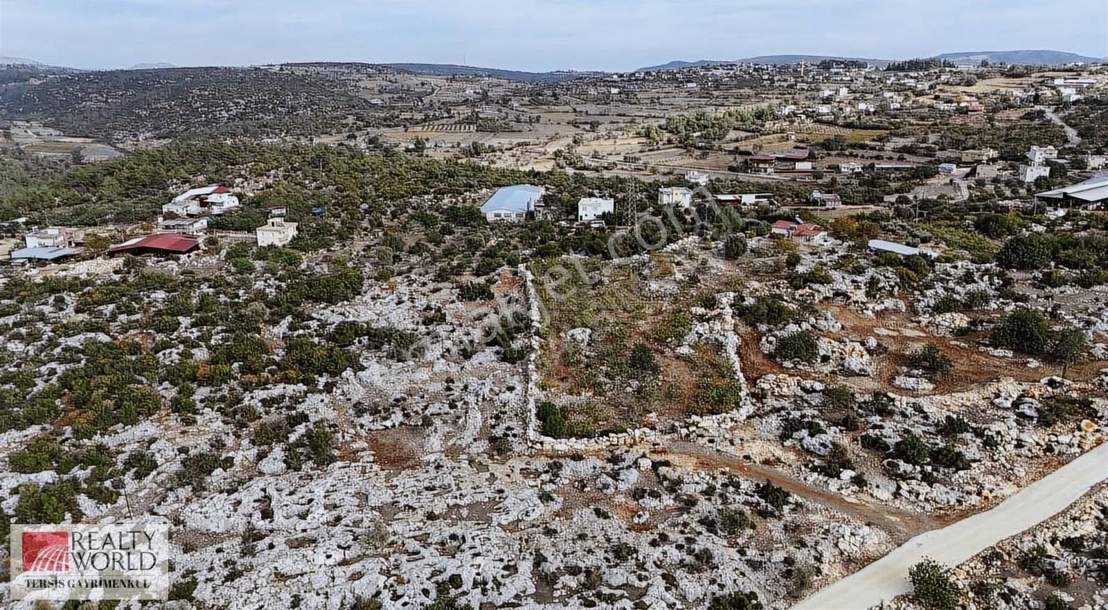 Rw Tersis'den Tarsus Hacıhamzalıda Satılık İncir Bahçesi - Görsel 6