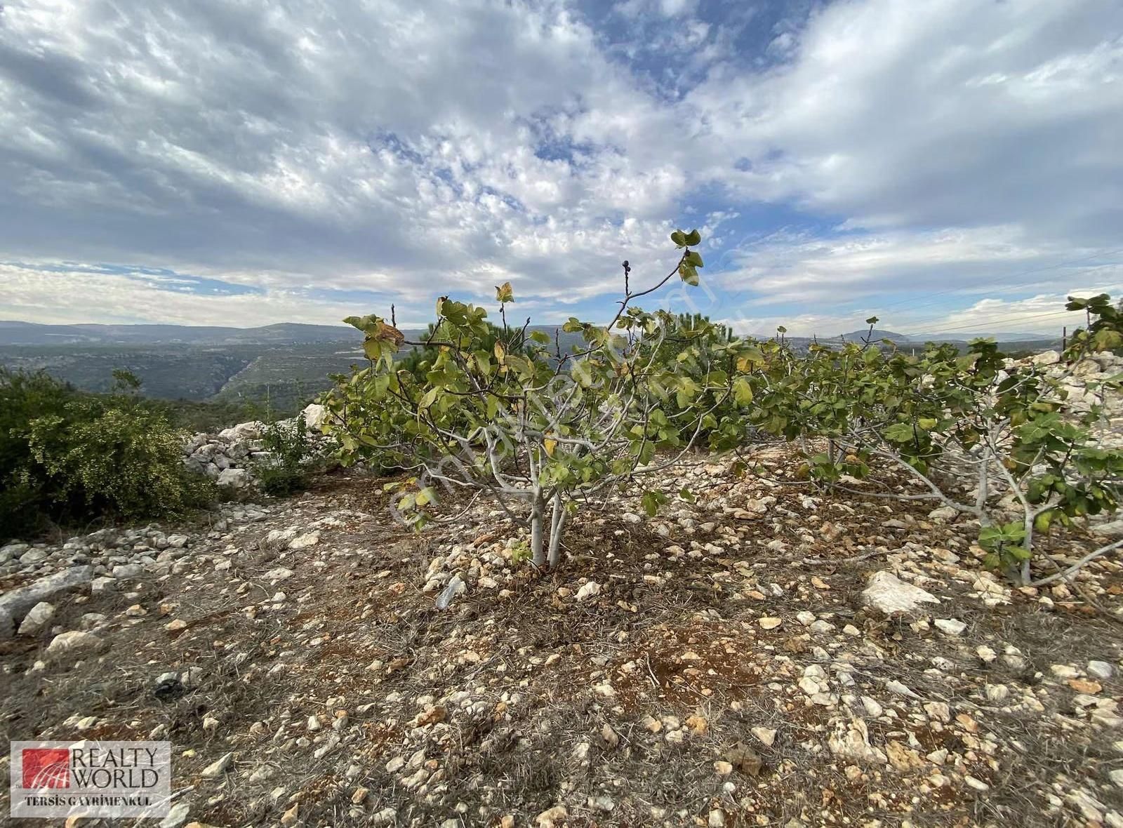 Rw Tersis'den Tarsus Hacıhamzalıda Satılık İncir Bahçesi - Görsel 12