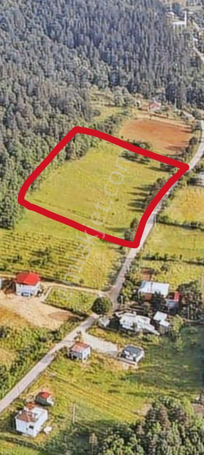 Osmanlının Kalbi Nicea Da (iznik ) Satilik İmarli Arsa