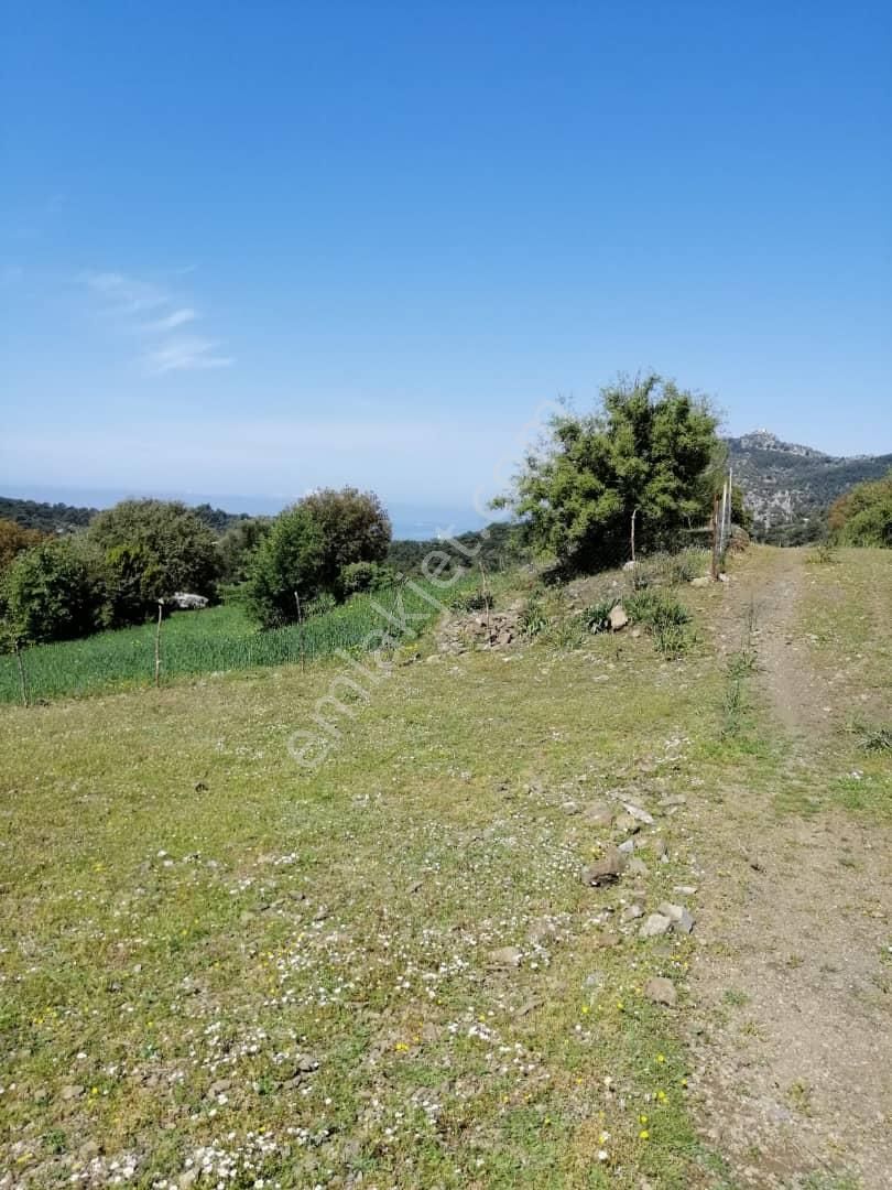 Muğla Ortaca Gökbelde 3200 M2 Hisseli Arazi Satılık - Görsel 5