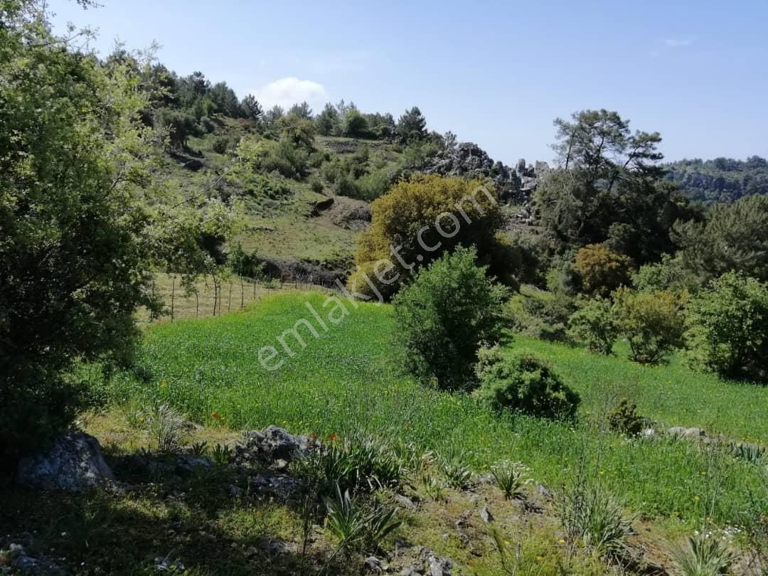 Muğla Ortaca Gökbelde 3200 M2 Hisseli Arazi Satılık - Görsel 6