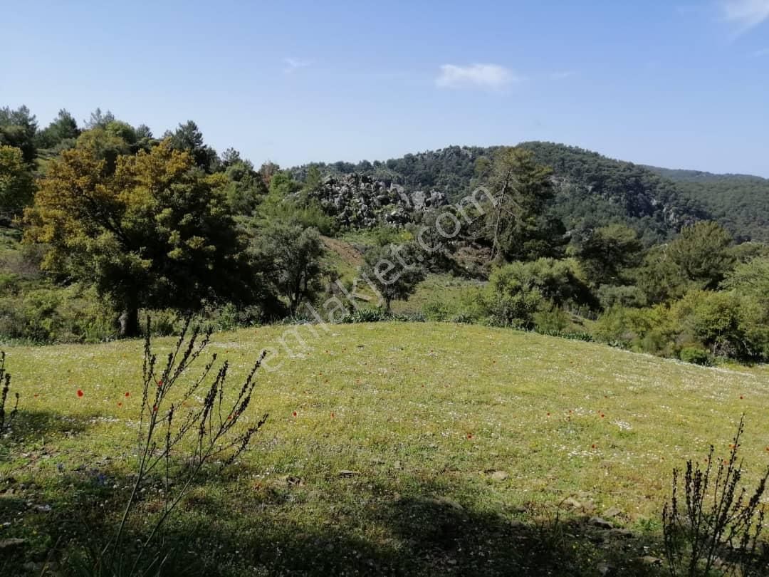 Muğla Ortaca Gökbelde 3200 M2 Hisseli Arazi Satılık - Görsel 4