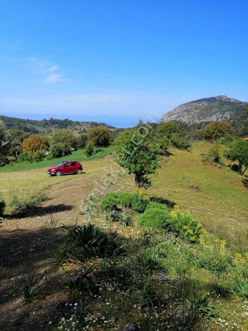Muğla Ortaca Gökbelde 3200 M2 Hisseli Arazi Satılık - Görsel 2