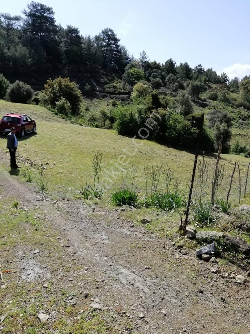 Muğla Ortaca Gökbelde 3200 M2 Hisseli Arazi Satılık - Görsel 3