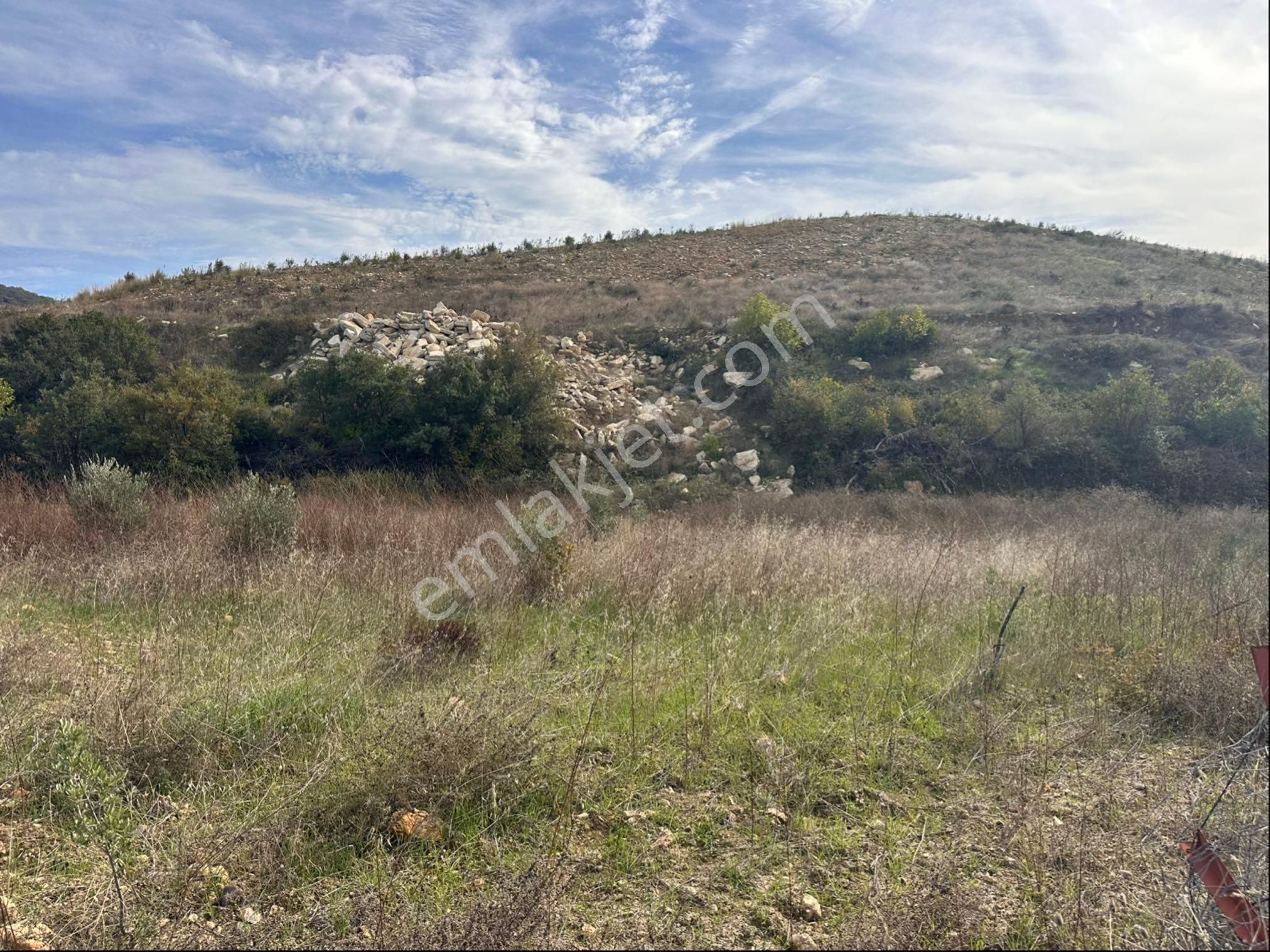 İzmir Bergama Çeltikçi Satılık 1.335 M2 Asfalt Cepheli Zeytinlik - Görsel 7