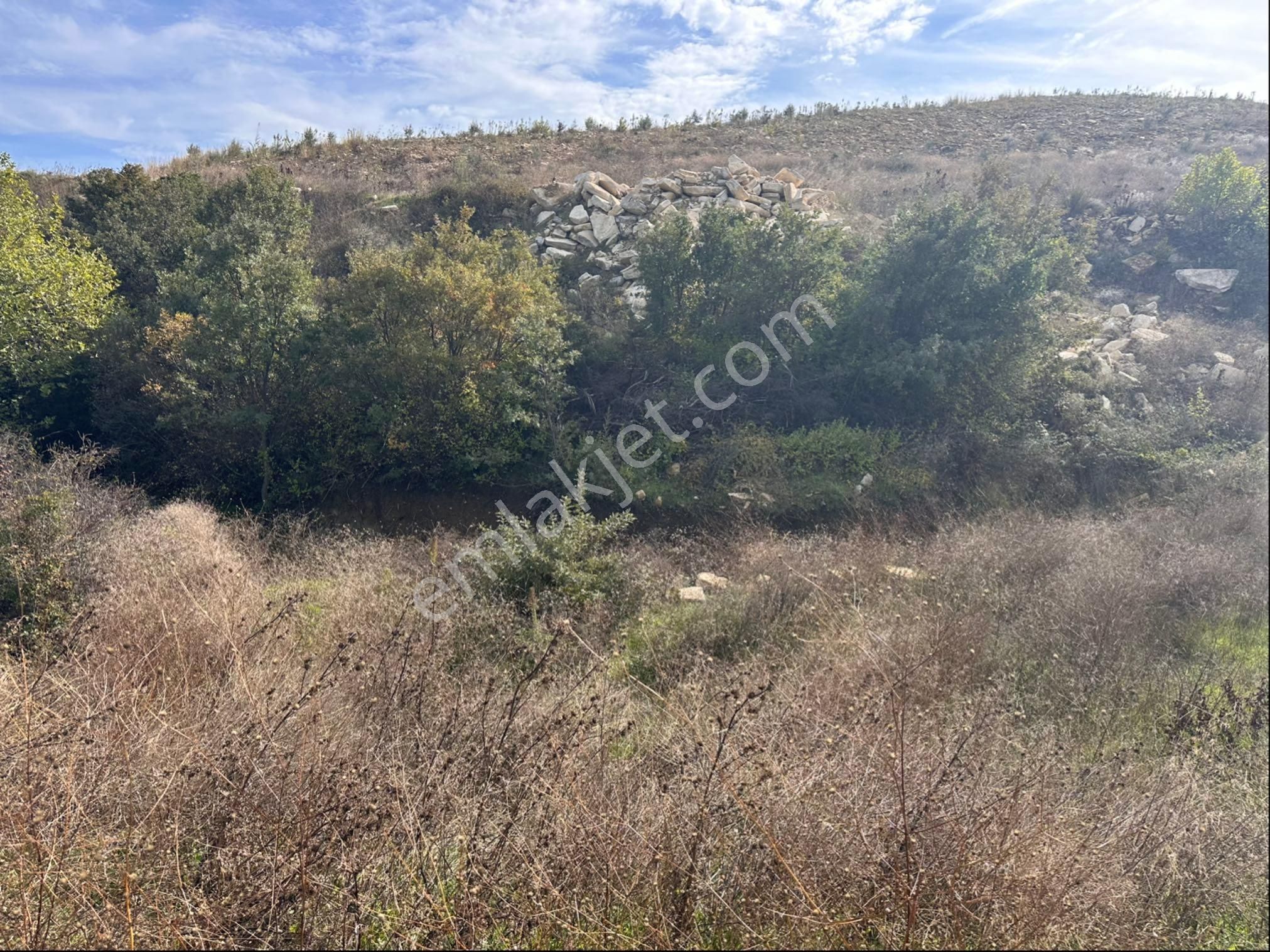 İzmir Bergama Çeltikçi Satılık 1.335 M2 Asfalt Cepheli Zeytinlik - Görsel 16