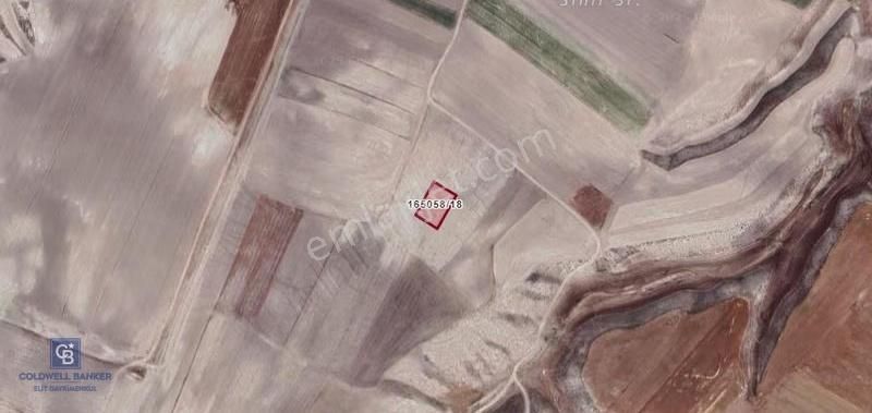 Ankara Güdül Güneyce Termal Bölge 1000 M² İmarlı Satılık Arsa - Görsel 2