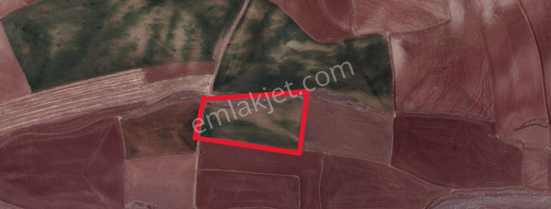 Ankara Gölbaşı'nda Satılık Tarla - Görsel 29