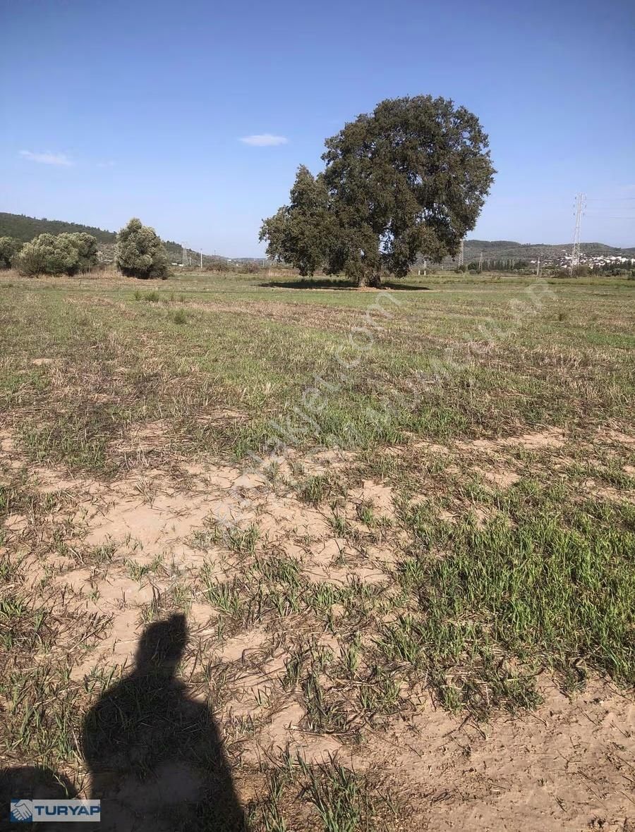 Mumcular Satılık Fırsat Tarla 3.500 M2