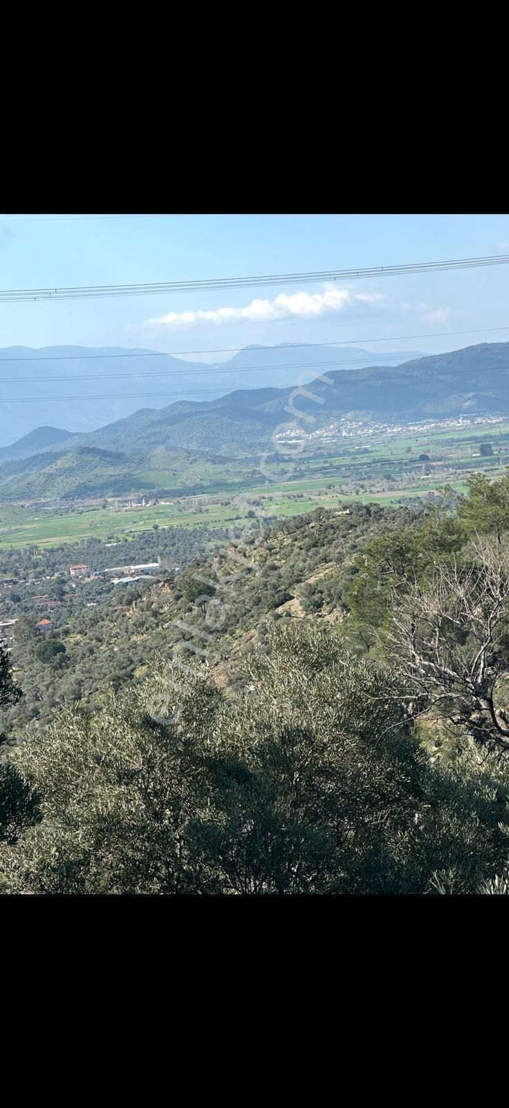 Muğla Milas Da 5 800 M2 Tek Tapu Müstakil Parsel Arazi Satılık - Görsel 6