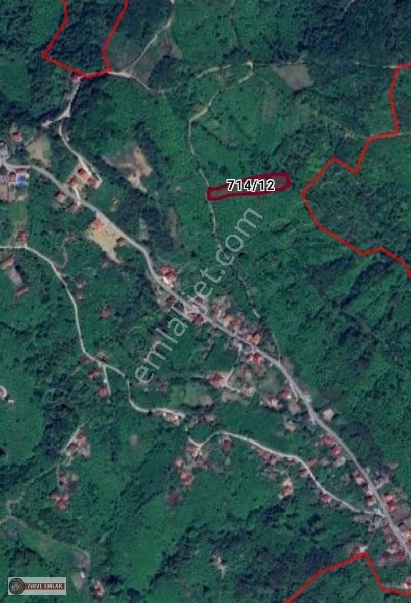 Ordu Perşembe Yumrutaş' Ta Satılık Müstakil Fındık Bahçesi.