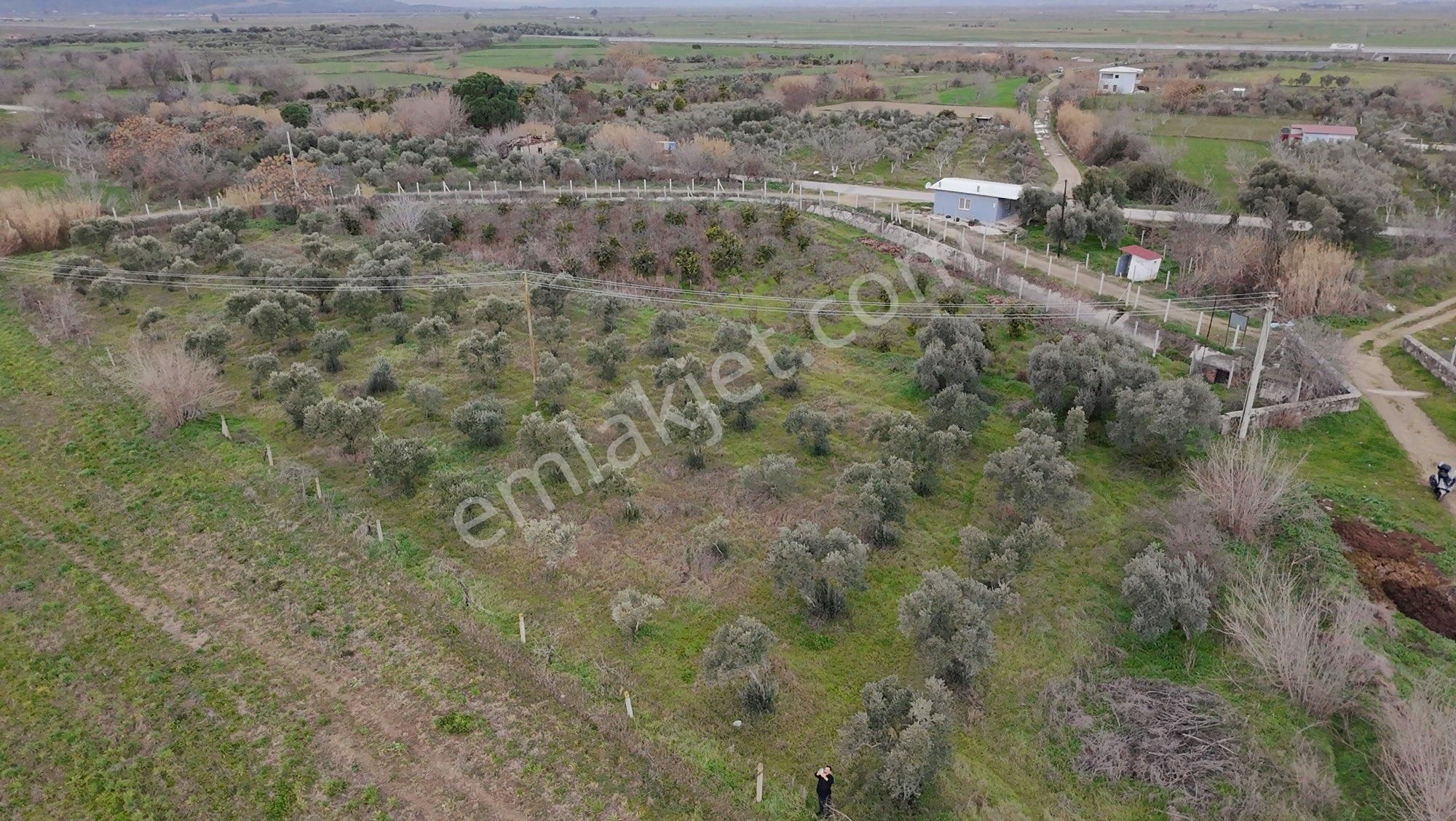 🌿 Aydın / Nazilli – Yazırlı Mahallesi Kırcaklı Mevkisinde Satılık 3 Dönüm Arazi 🌿 - Görsel 9