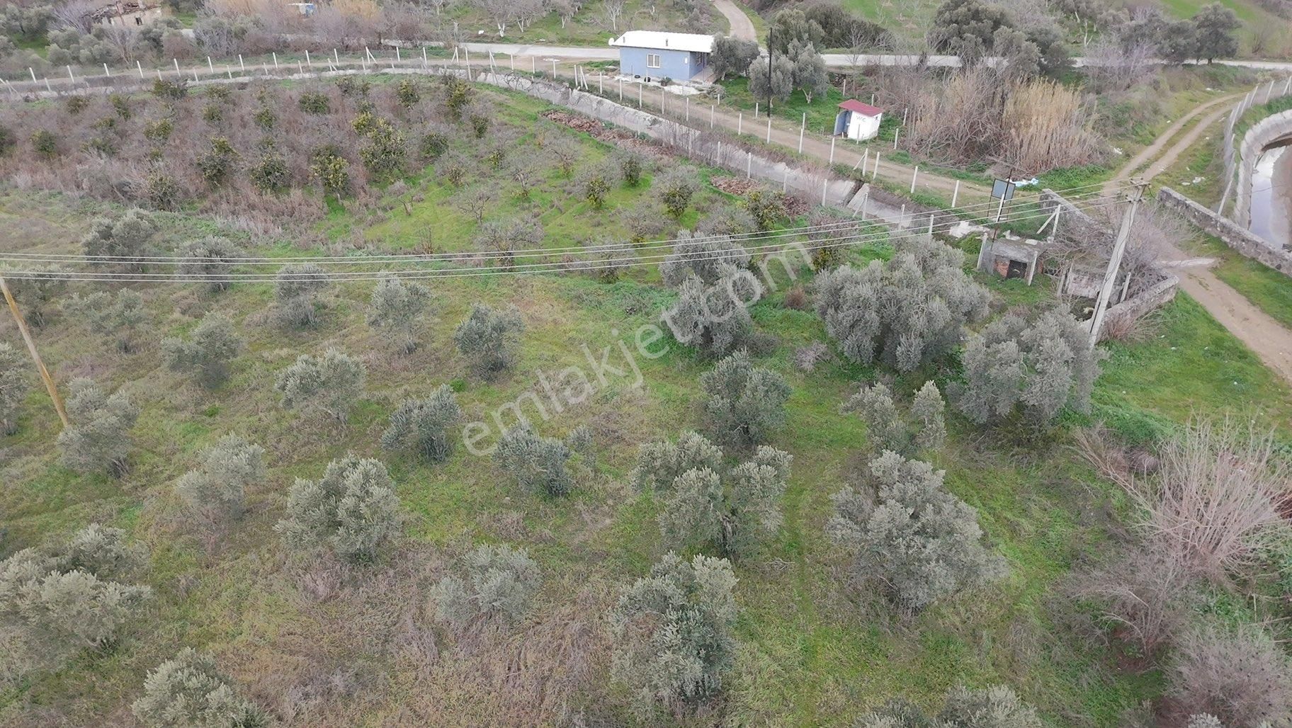 🌿 Aydın / Nazilli – Yazırlı Mahallesi Kırcaklı Mevkisinde Satılık 3 Dönüm Arazi 🌿 - Görsel 14