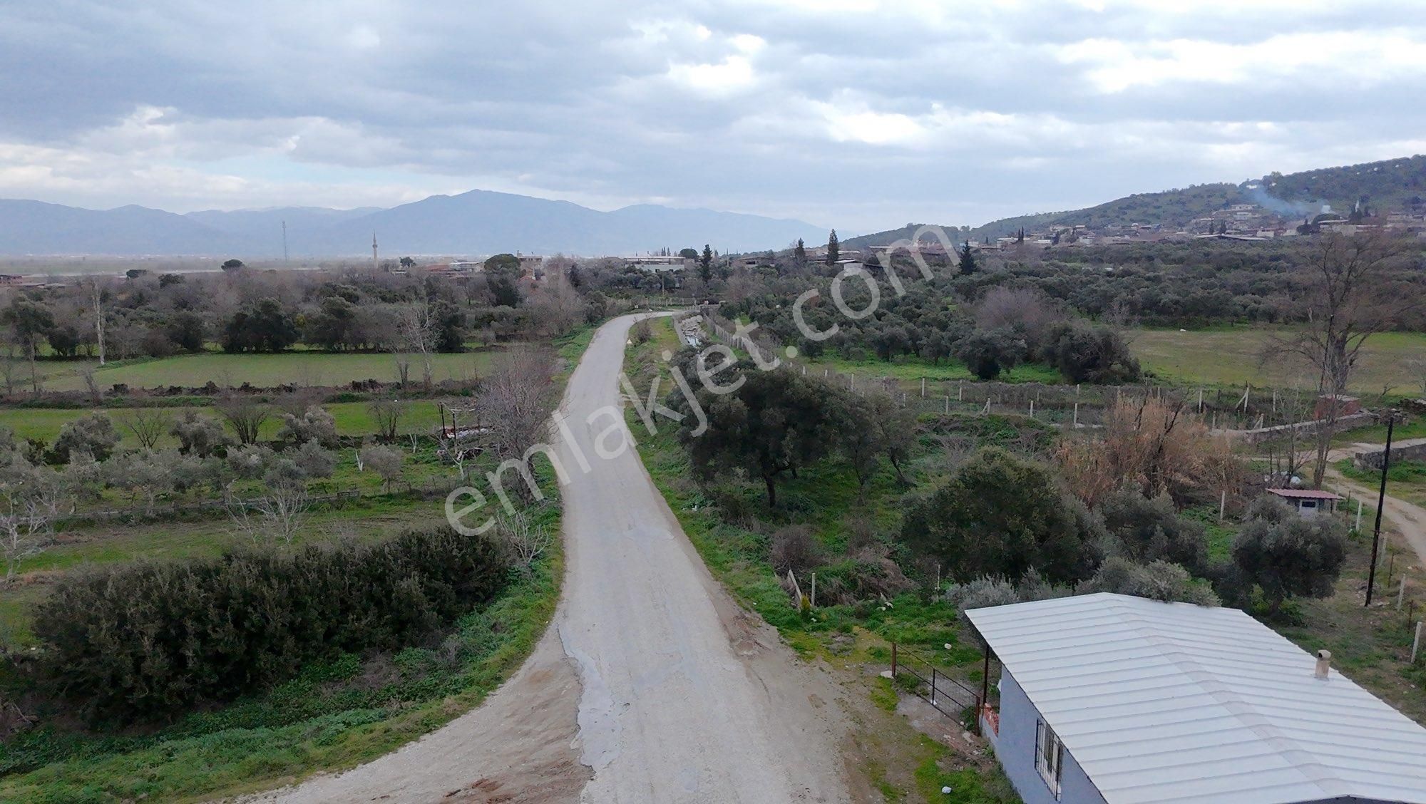 🌿 Aydın / Nazilli – Yazırlı Mahallesi Kırcaklı Mevkisinde Satılık 3 Dönüm Arazi 🌿 - Görsel 4