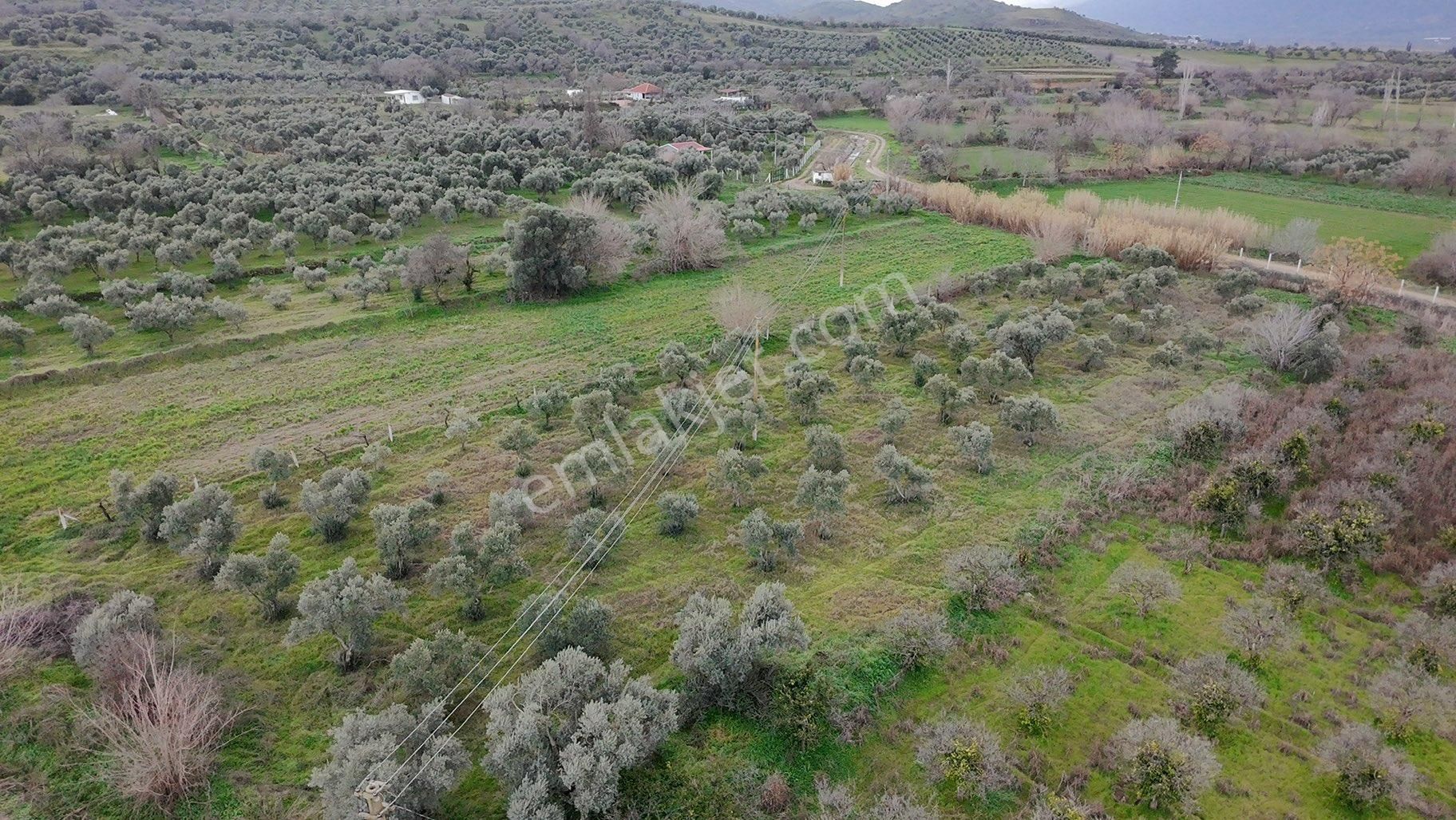 🌿 Aydın / Nazilli – Yazırlı Mahallesi Kırcaklı Mevkisinde Satılık 3 Dönüm Arazi 🌿 - Görsel 16
