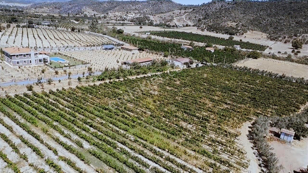 Seferihisar Yatırımlık 10 Dönüm Bağ,asfalt Yol Cepheli - Görsel 9