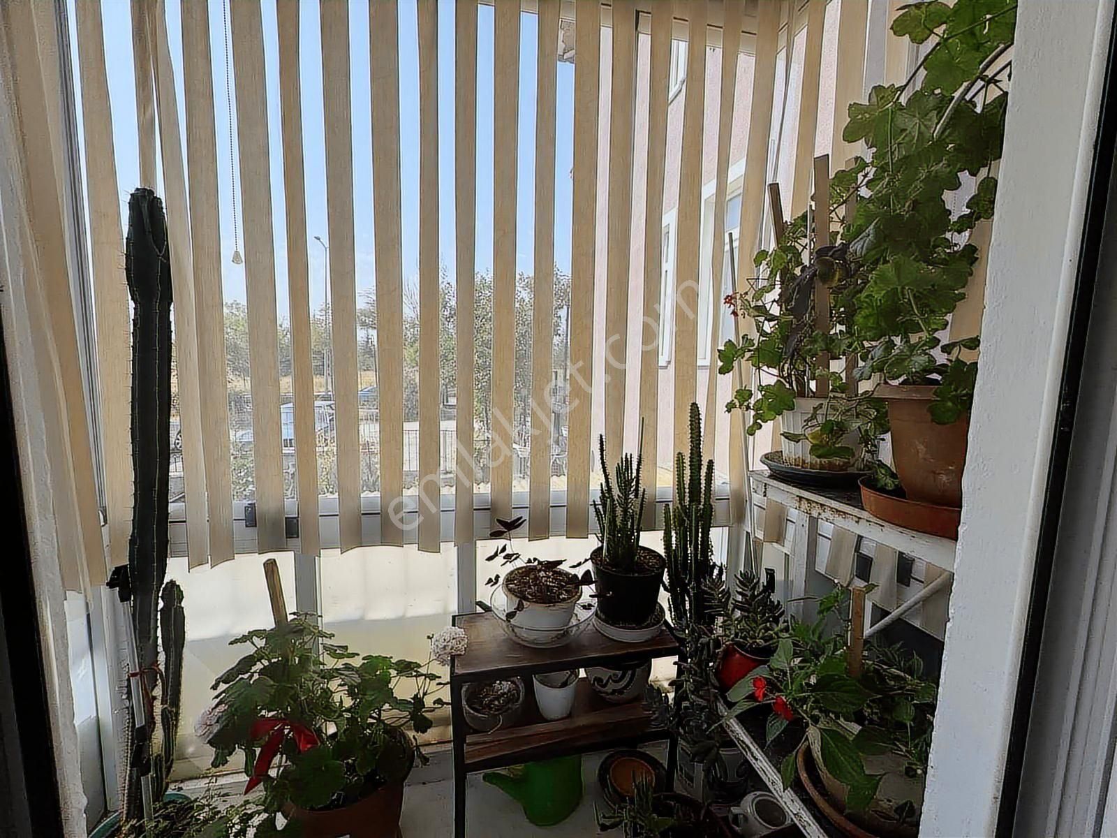 Batıkent 3+2 Çift Girişli Bahçeli Orman Manzaralı Villa - Görsel 16