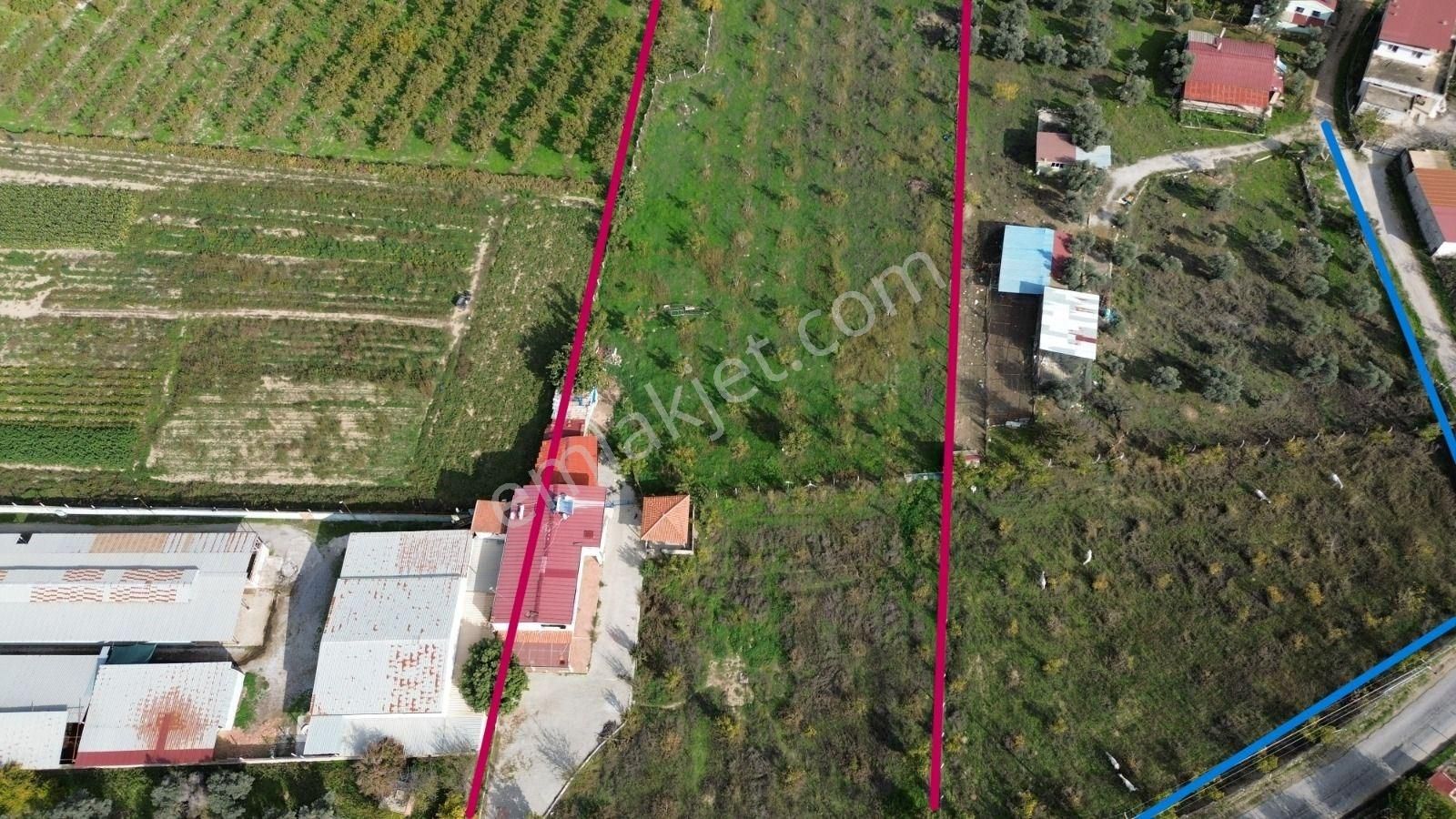 Kuşadası Yeniköy De Asfalt Yola Cepheli Satılık Bahçe - Görsel 3