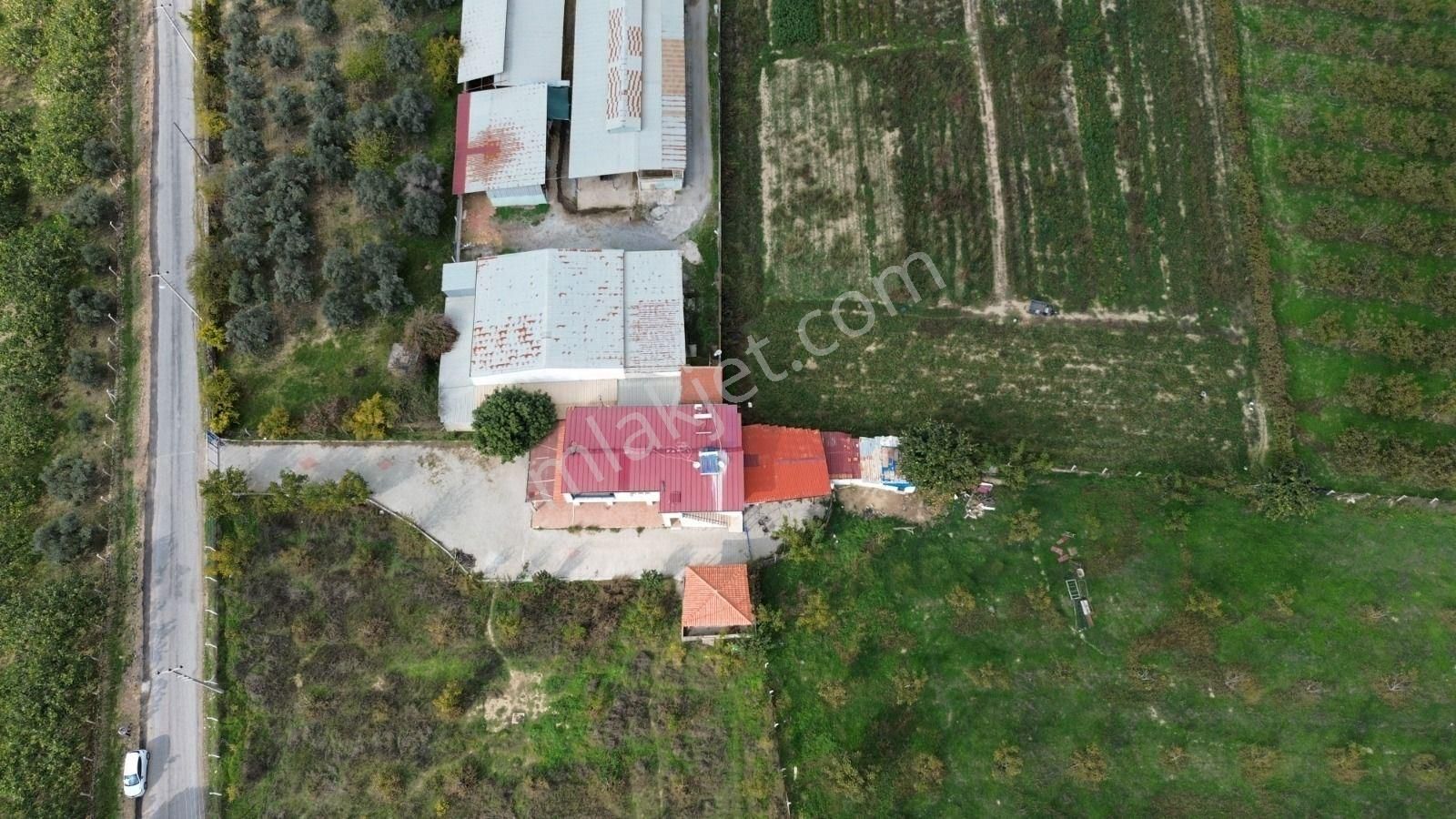 Kuşadası Yeniköy De Asfalt Yola Cepheli Satılık Bahçe - Görsel 2