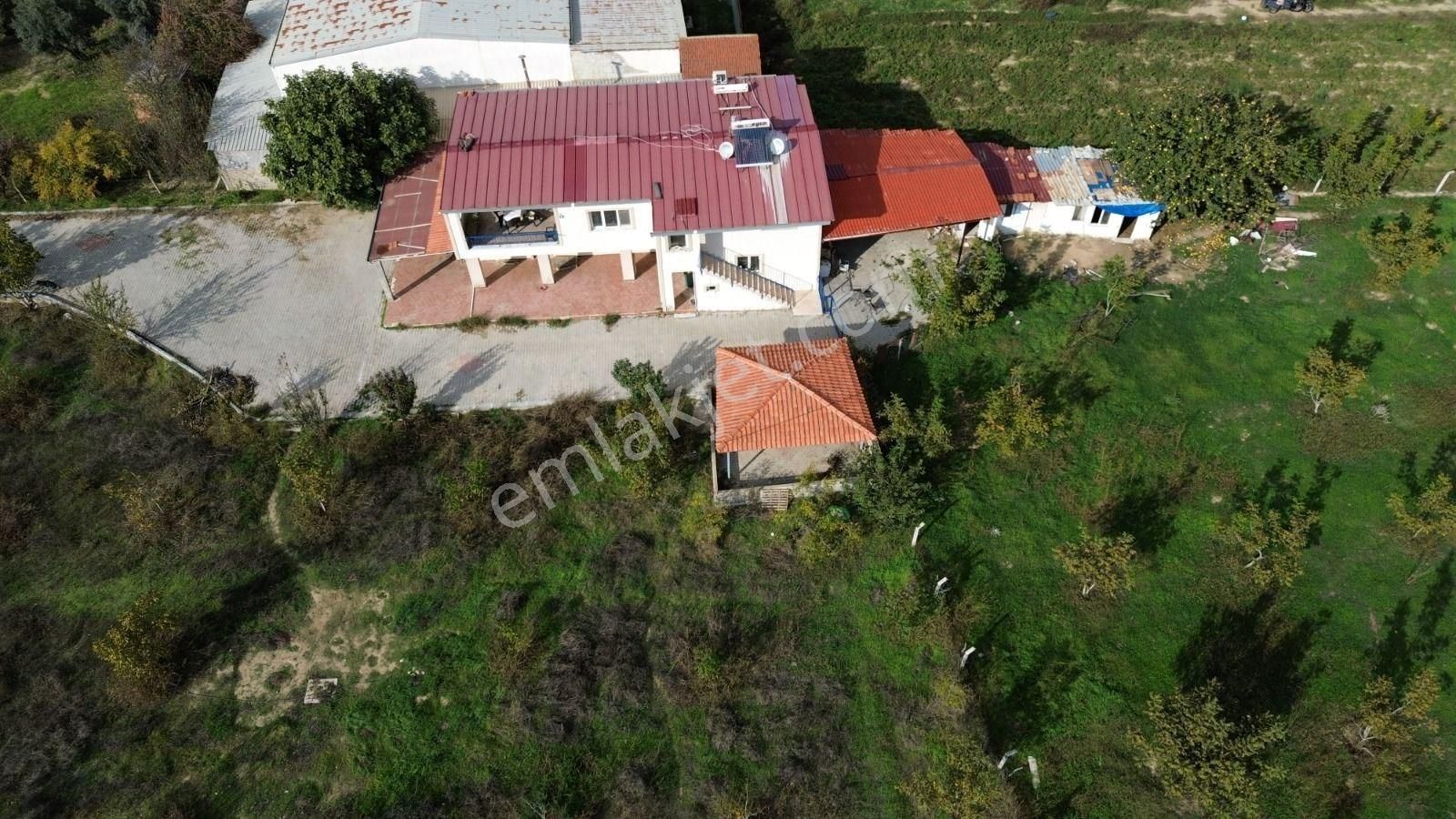 Kuşadası Yeniköy De Asfalt Yola Cepheli Satılık Bahçe - Görsel 10