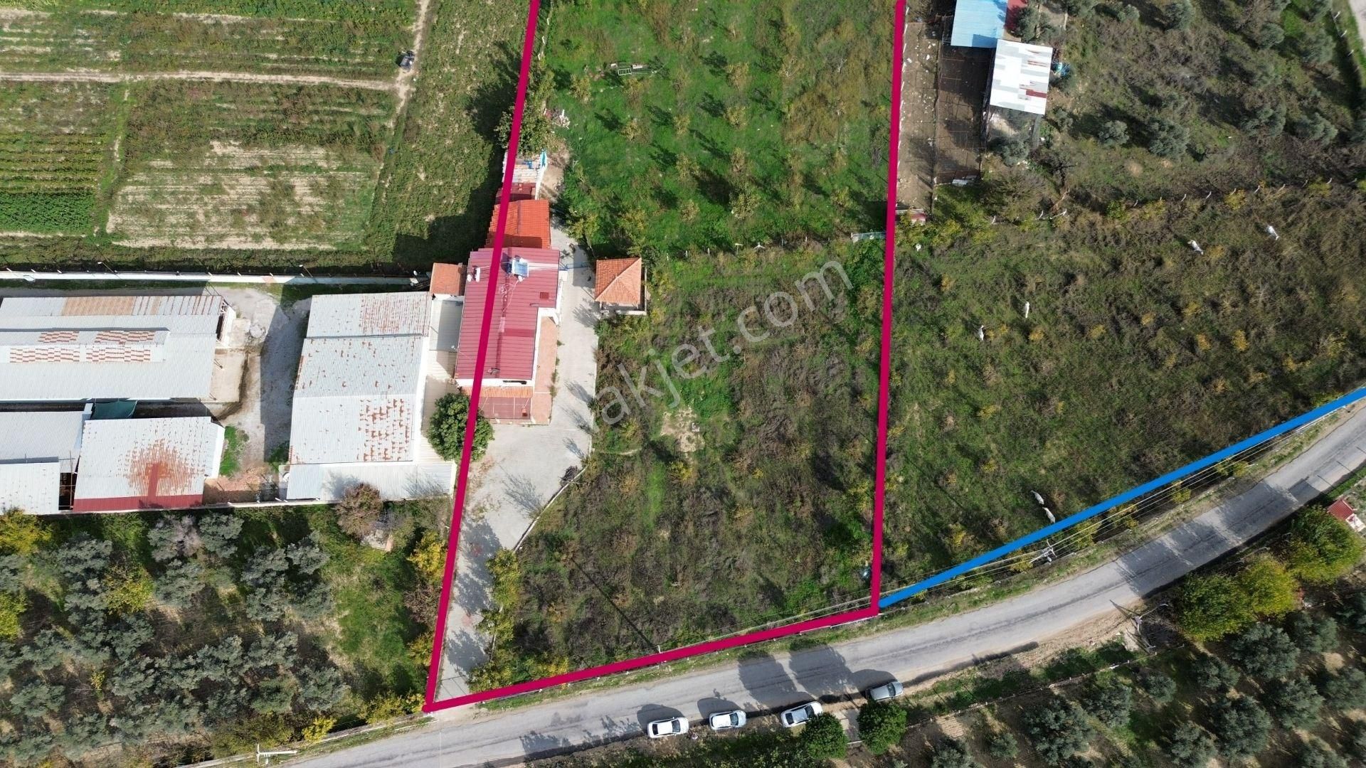 Kuşadası Yeniköy De Asfalt Yola Cepheli Satılık Bahçe - Görsel 4