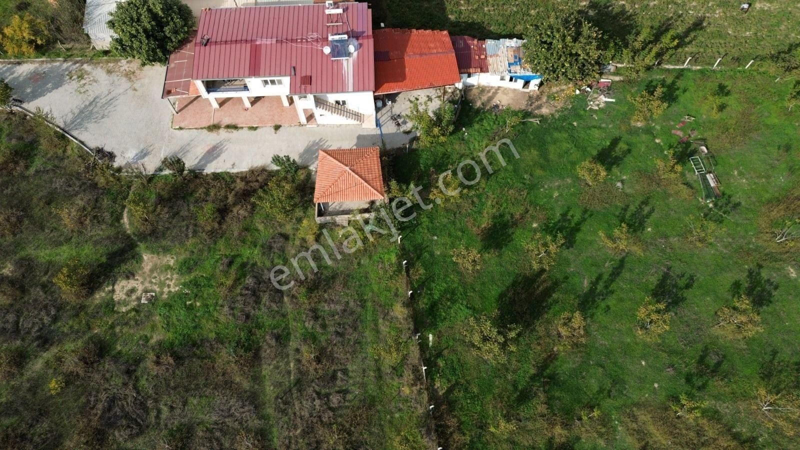 Kuşadası Yeniköy De Asfalt Yola Cepheli Satılık Bahçe