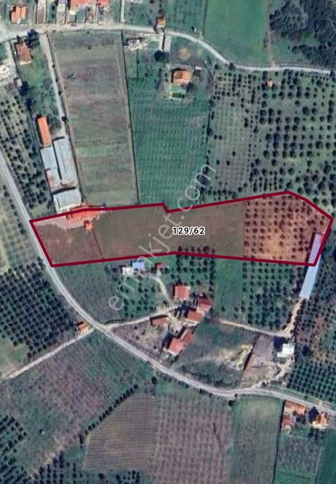 Kuşadası Yeniköy De Asfalt Yola Cepheli Satılık Bahçe - Görsel 5