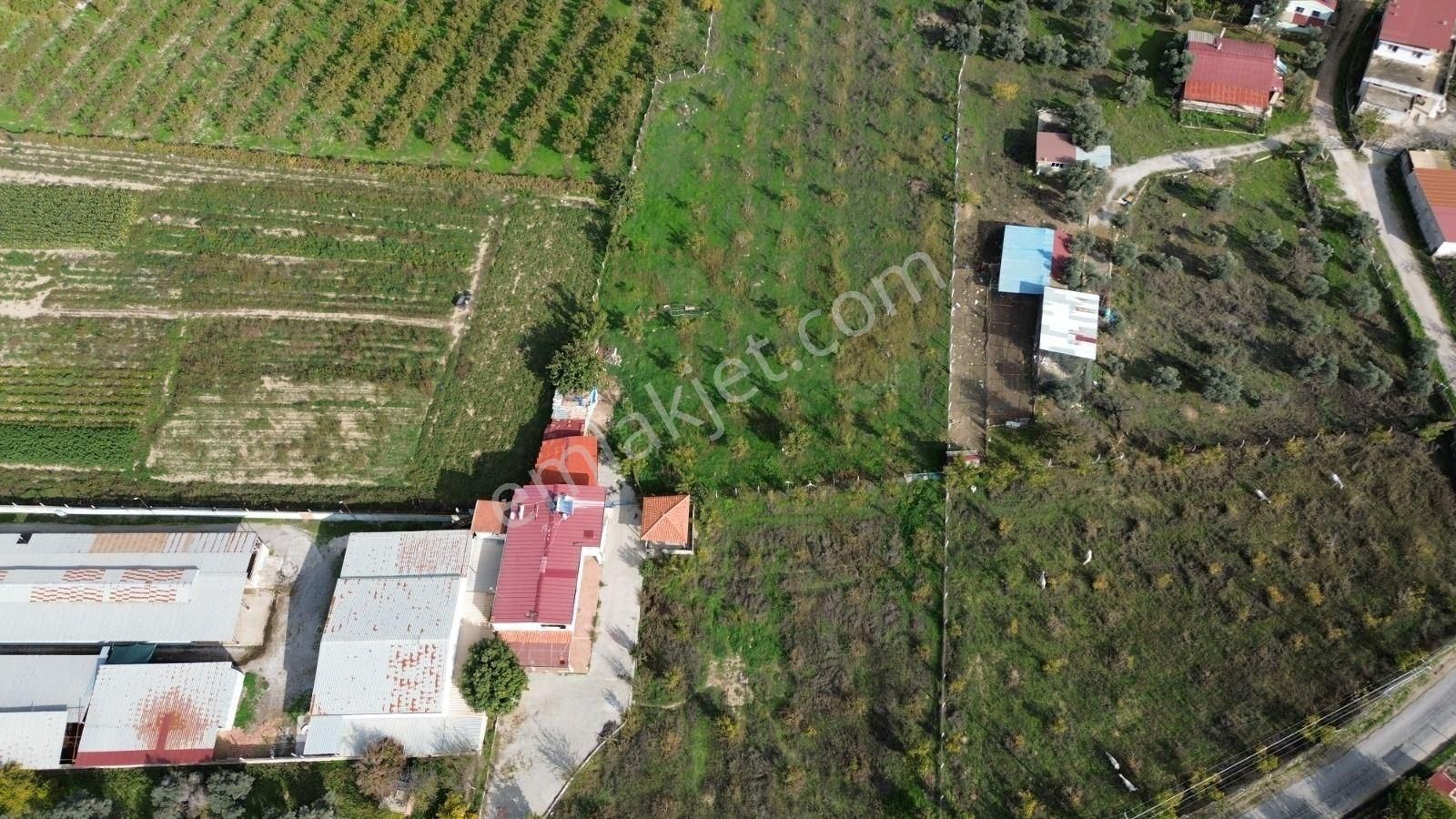 Kuşadası Yeniköy De Asfalt Yola Cepheli Satılık Bahçe - Görsel 9