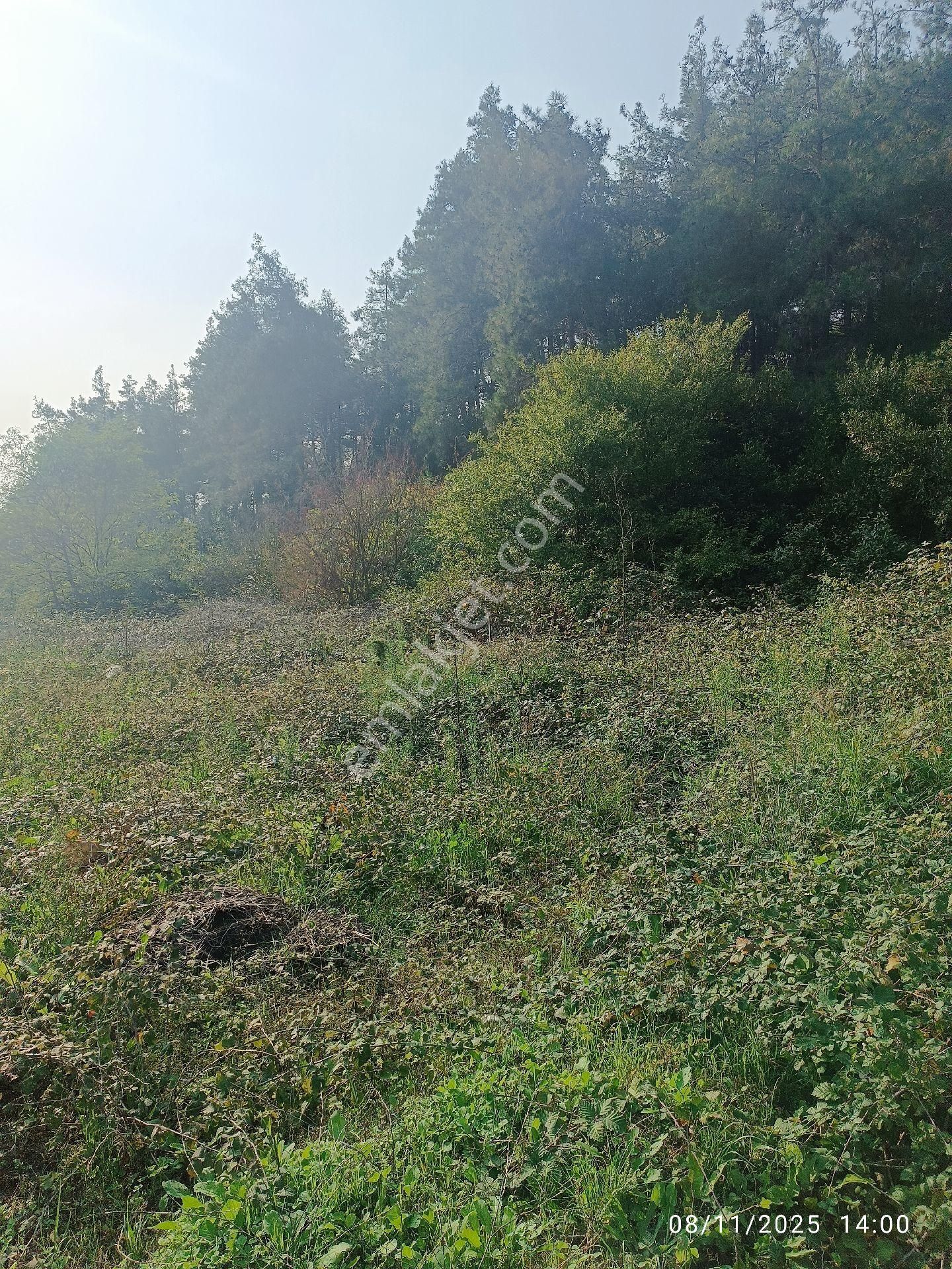 Beykoz Fatih Mahallesi 379 M2 İçinde Müstakil Ev - Görsel 5