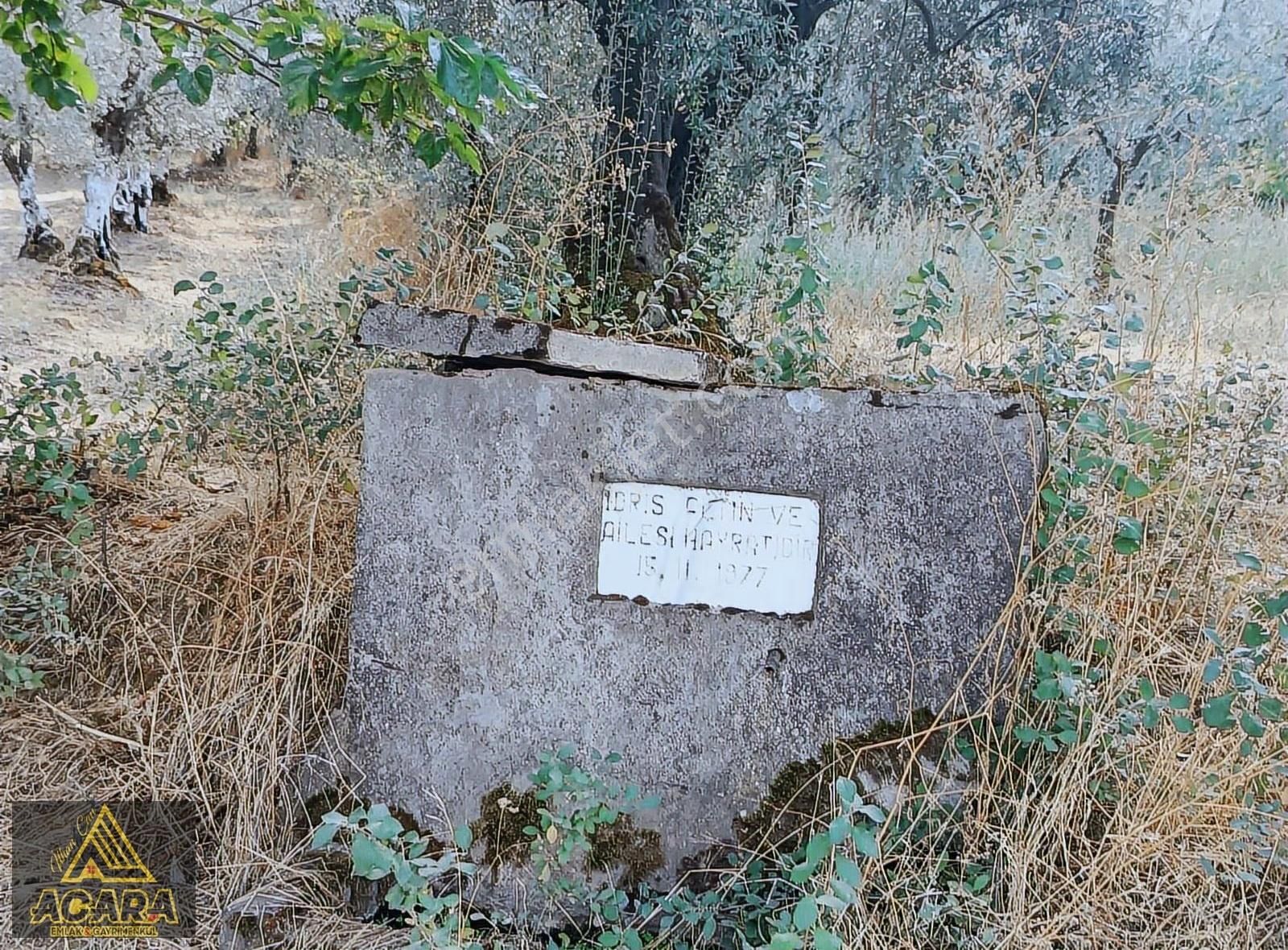 Bursa Orhangazi Karsakta 1.497m² Zeytinlik,köye Yakın