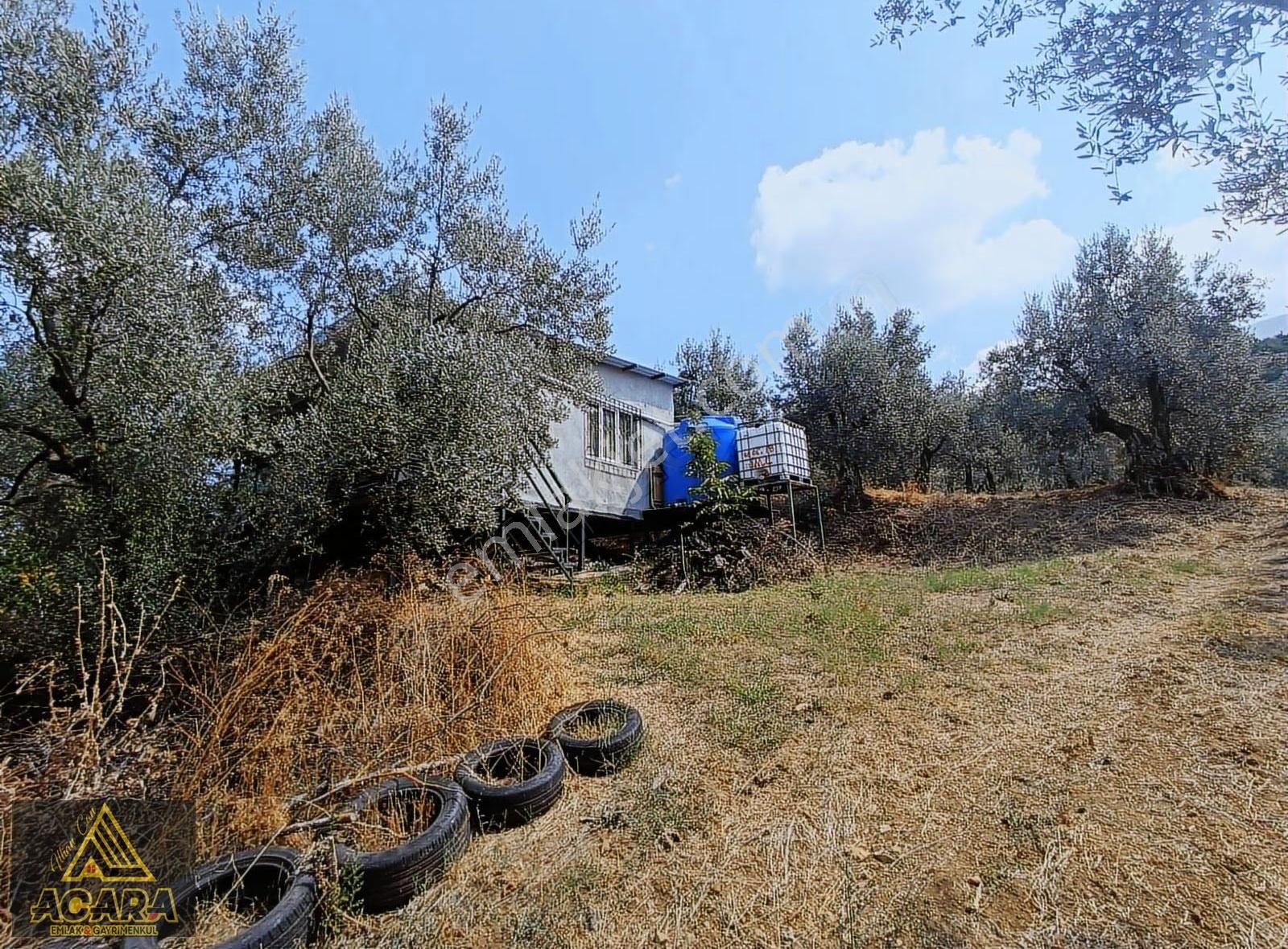 Bursa Orhangazi Karsakta 1.497m² Zeytinlik,köye Yakın - Görsel 6